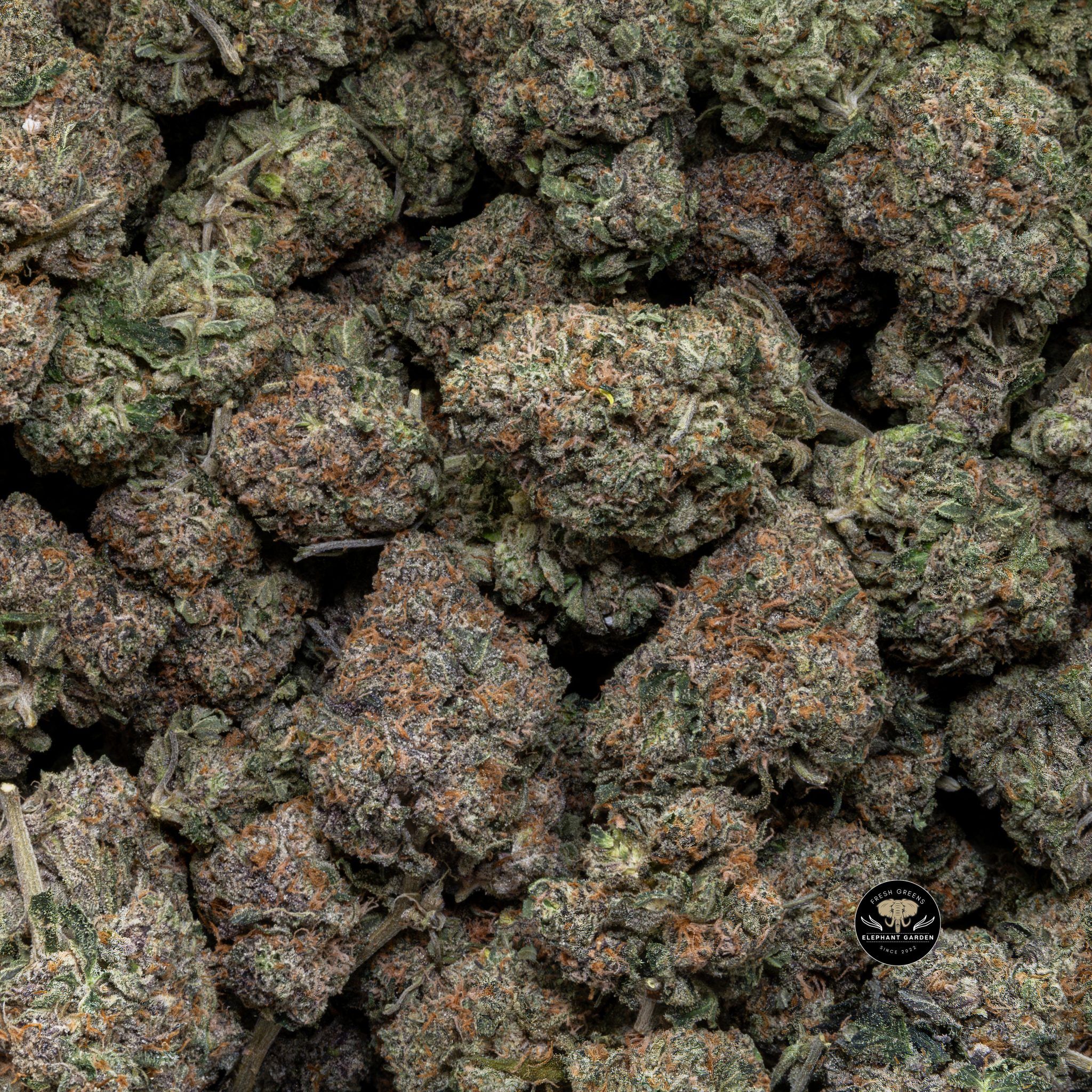 Buy Ghost Bubba (Bulk) at Elephant Garden Co Weed Dispensary Close 7 16 2024
