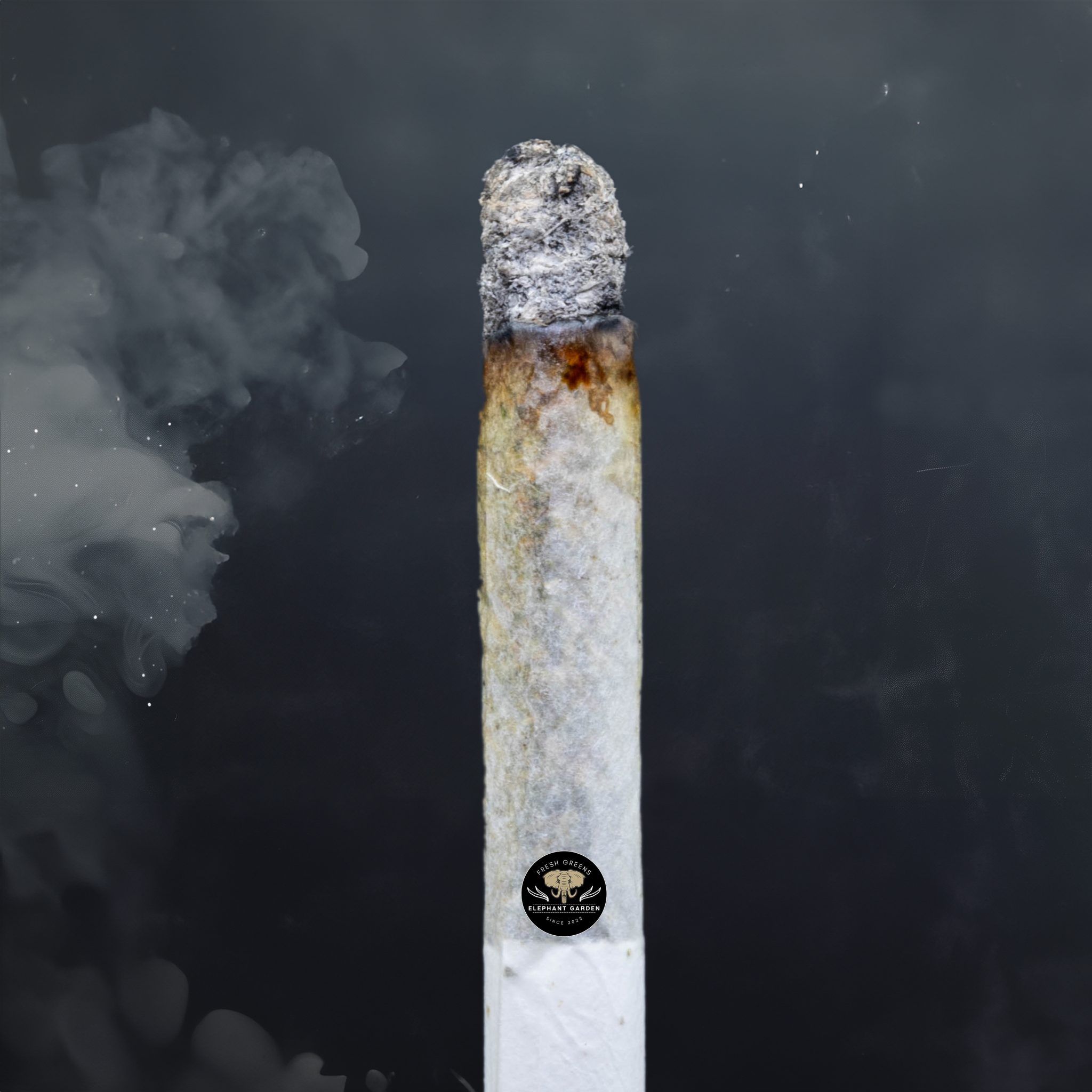 Buy Ghost Bubba at Elephant Garden Co Weed Dispensary Burn Test 7 16 2024 2