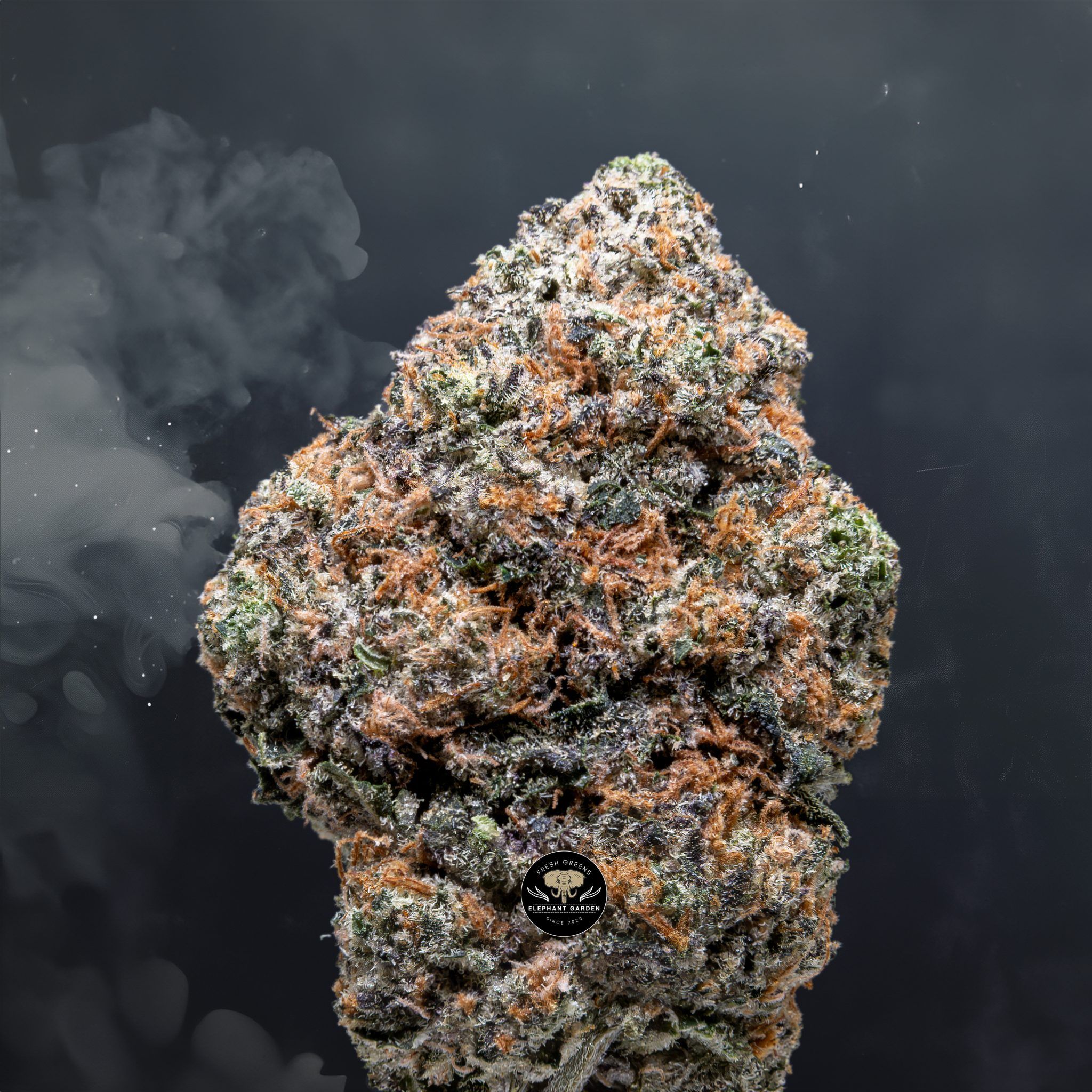 Buy Ghost bubba at Elephant Garden Co Weed Dispensary Close 7 16 24