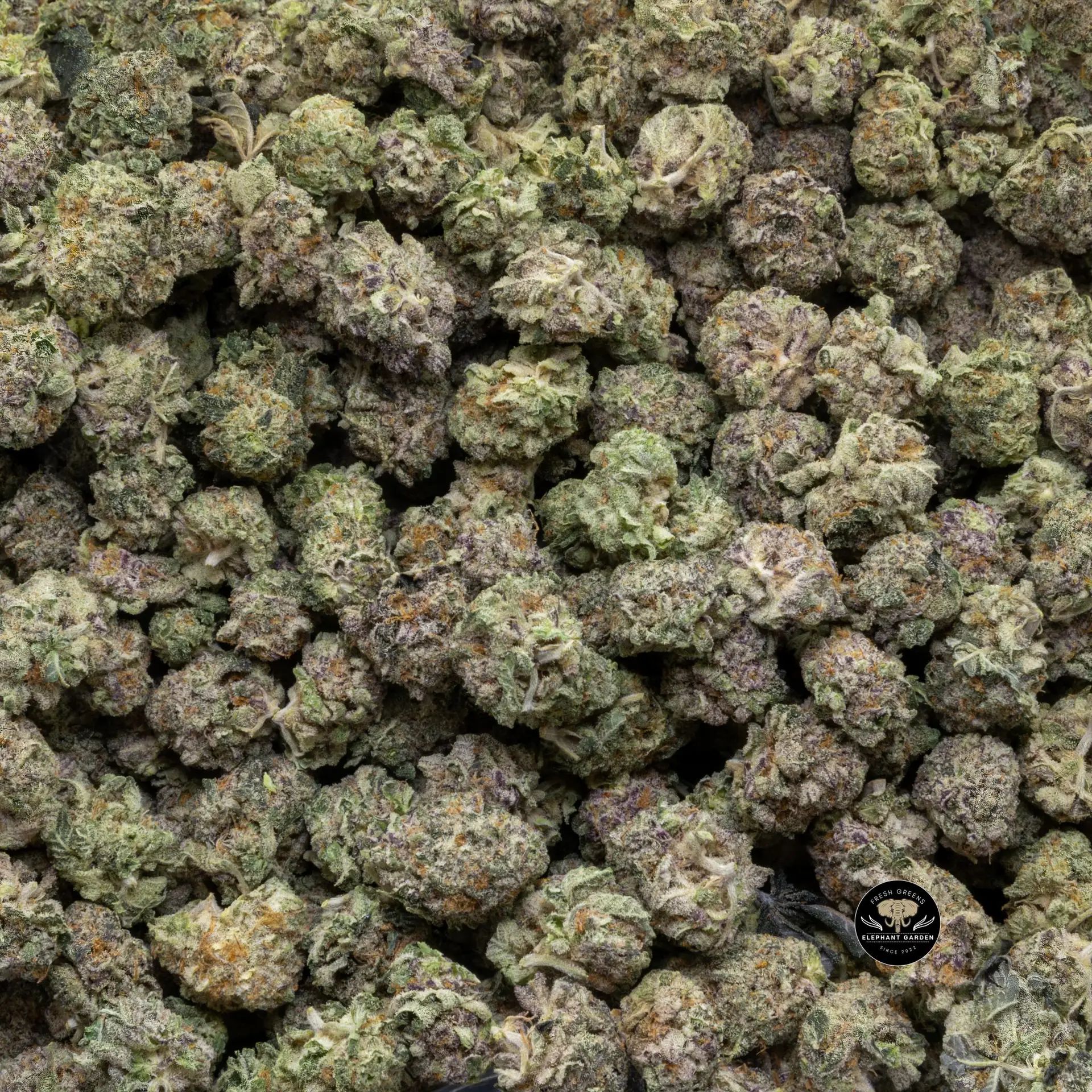 Buy Cookies and Cream (Bulk) at Elephant Garden Co Weed Dispensary Close 5 10 2024