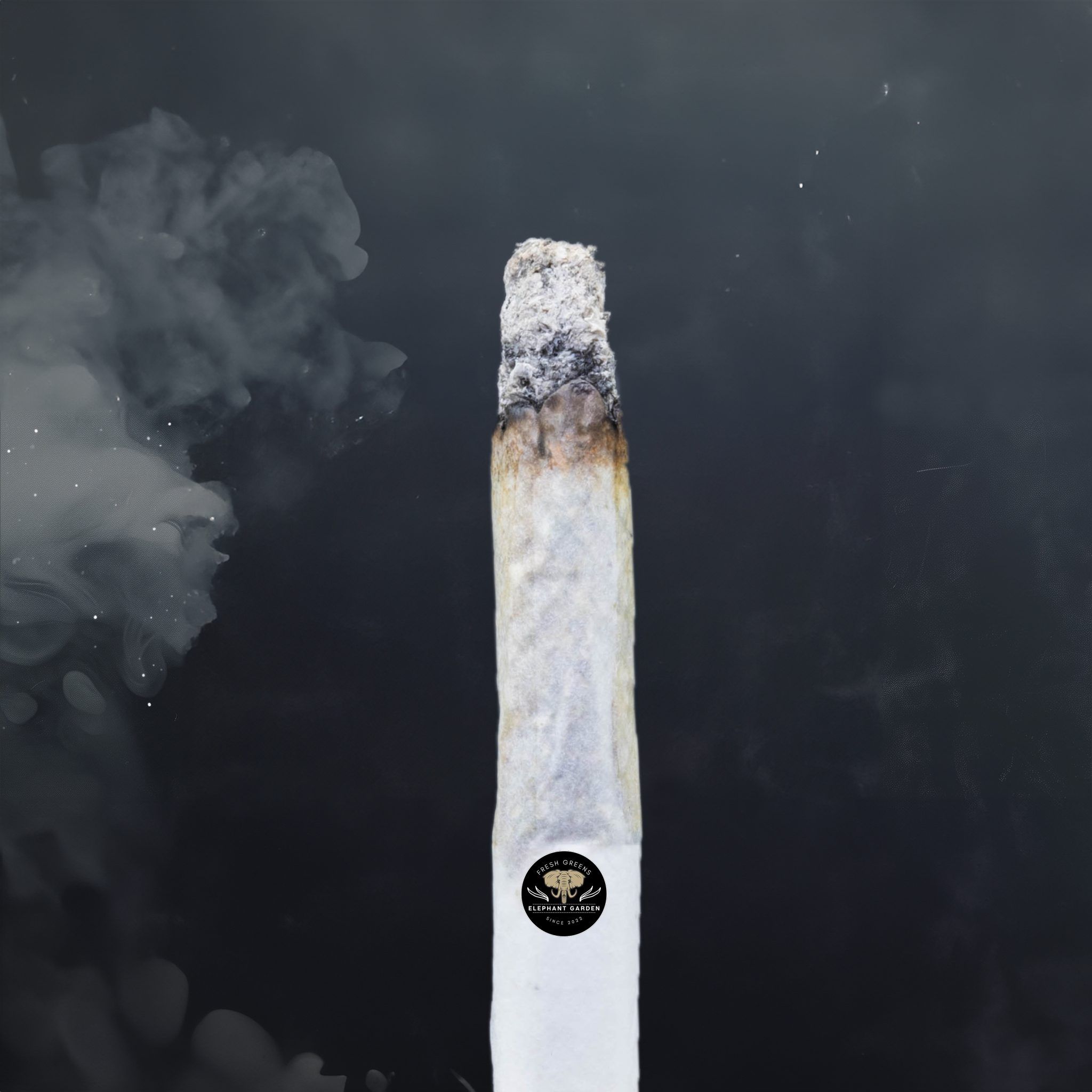 Buy Master Yoda at Elephant Garden Co Weed Dispensary Burn Test 5 28 2024 2