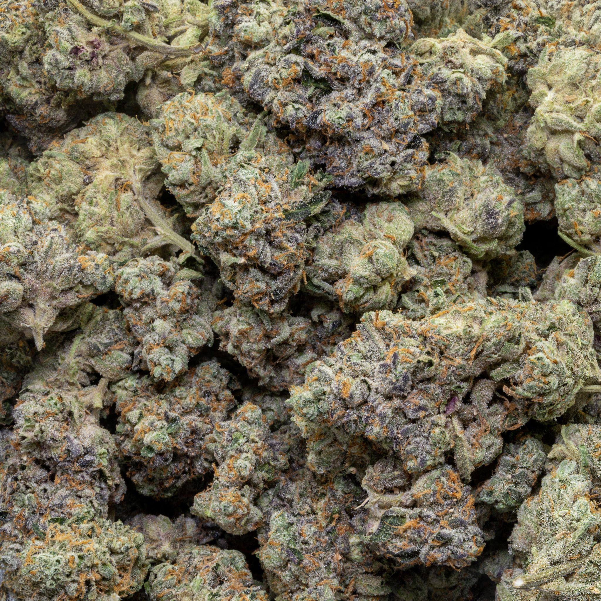 Buy Peyton's Pie (Bulk) at Elephant Garden Co Weed Dispensary Close 5 16 2024