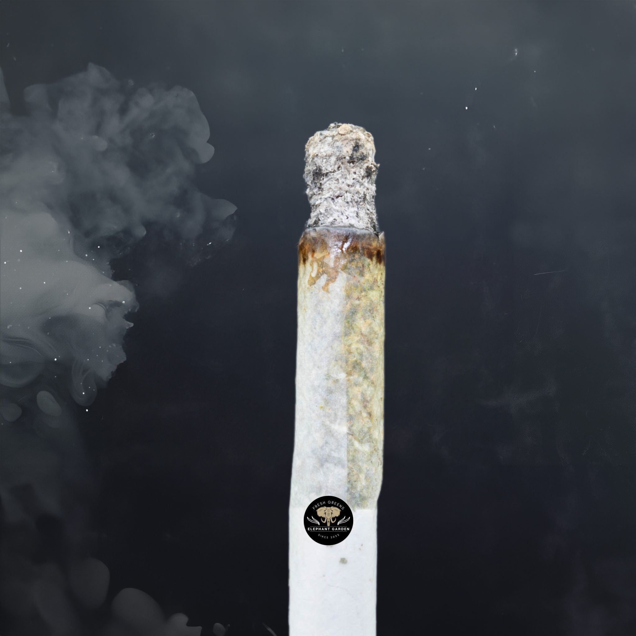 Buy Peyton's Pie at Elephant Garden Co Weed Dispensary Burn Test 5 28 2024 2