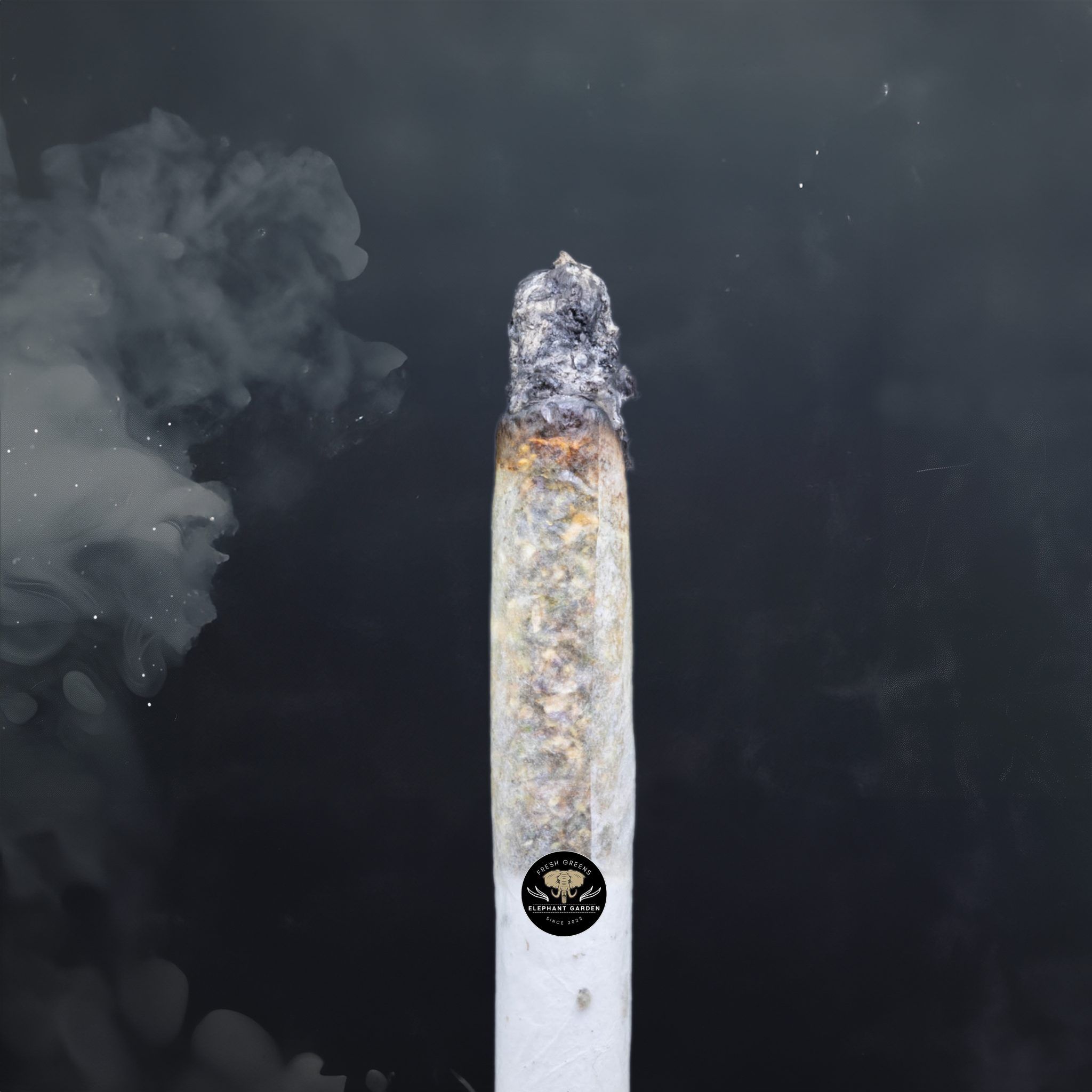 Buy Pink Runtz at Elephant Garden Co Weed Dispensary Burn Test 5 28 2024 2