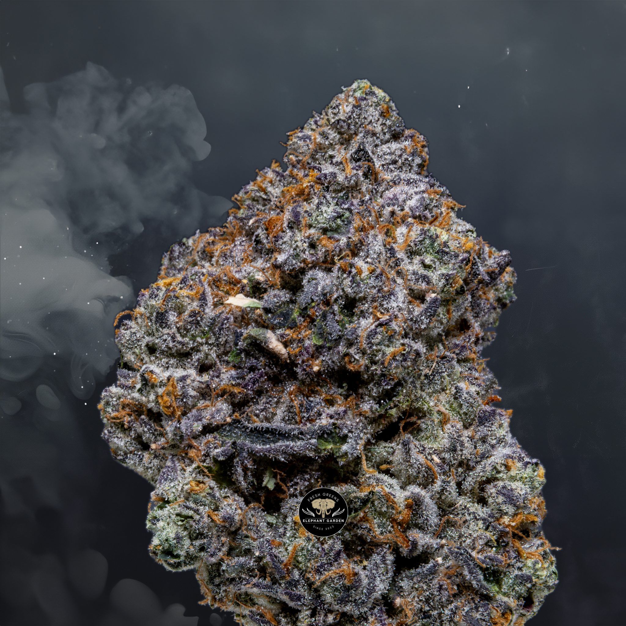 Buy Peyton's Pie at Elephant Garden Co Weed Dispensary Close 5 28 24