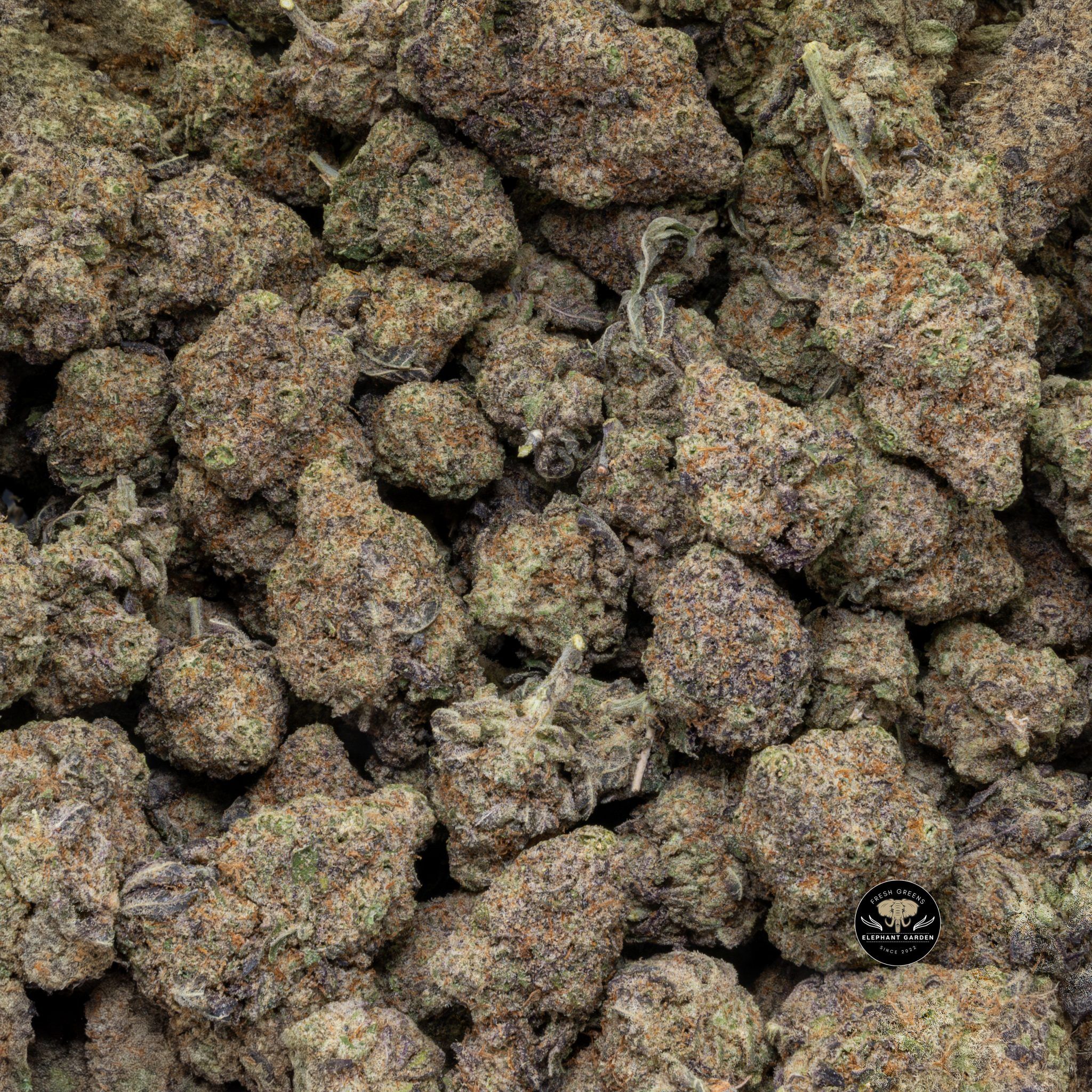 Buy Cherry Mac Pie(Bulk) at Elephant Garden Co Weed Dispensary Close 6 3 2024