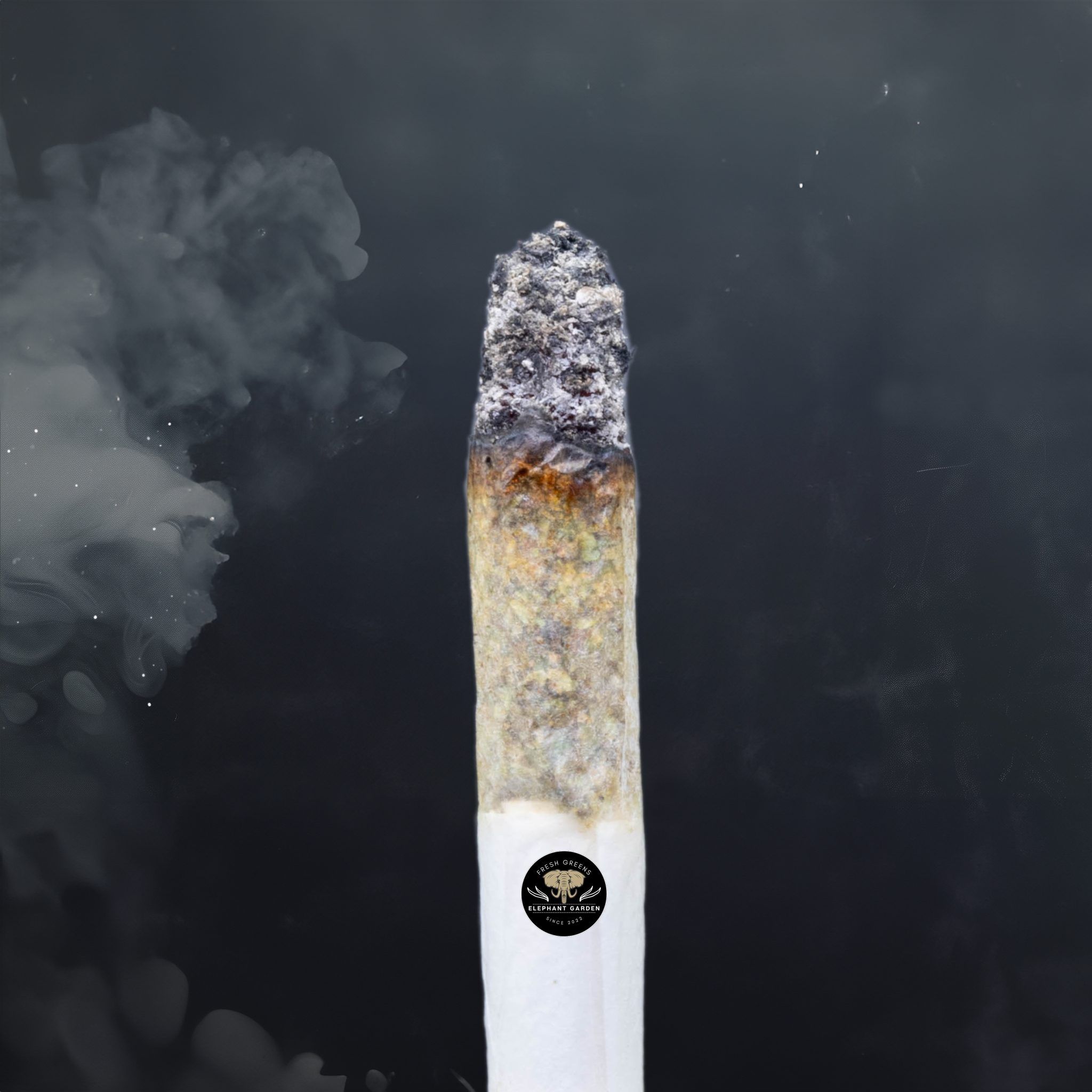 Buy Cherry Mac Pie at Elephant Garden Co Weed Dispensary Burn Test 6 3 2024 2