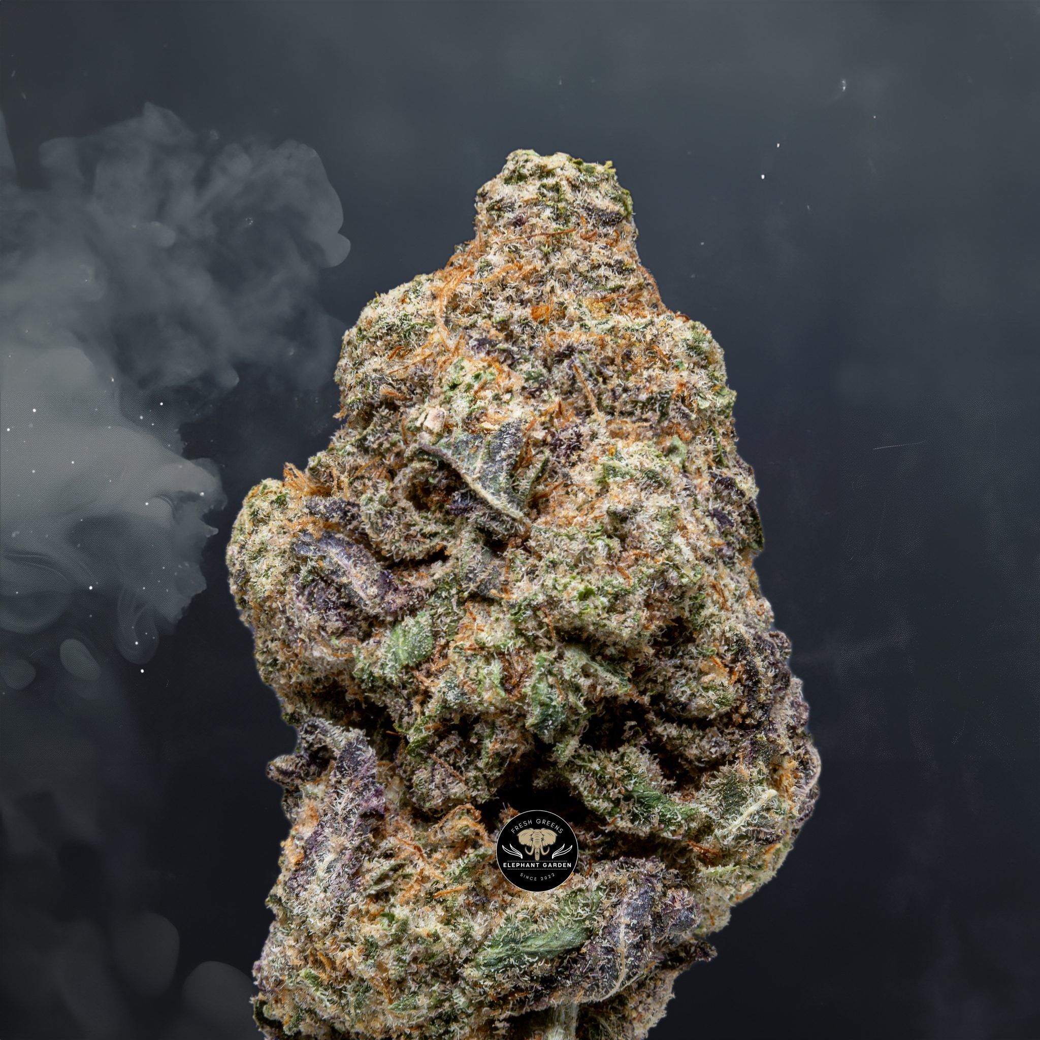 Buy Cherry Mac Pie at Elephant Garden Co Weed Dispensary Close 6 3 24