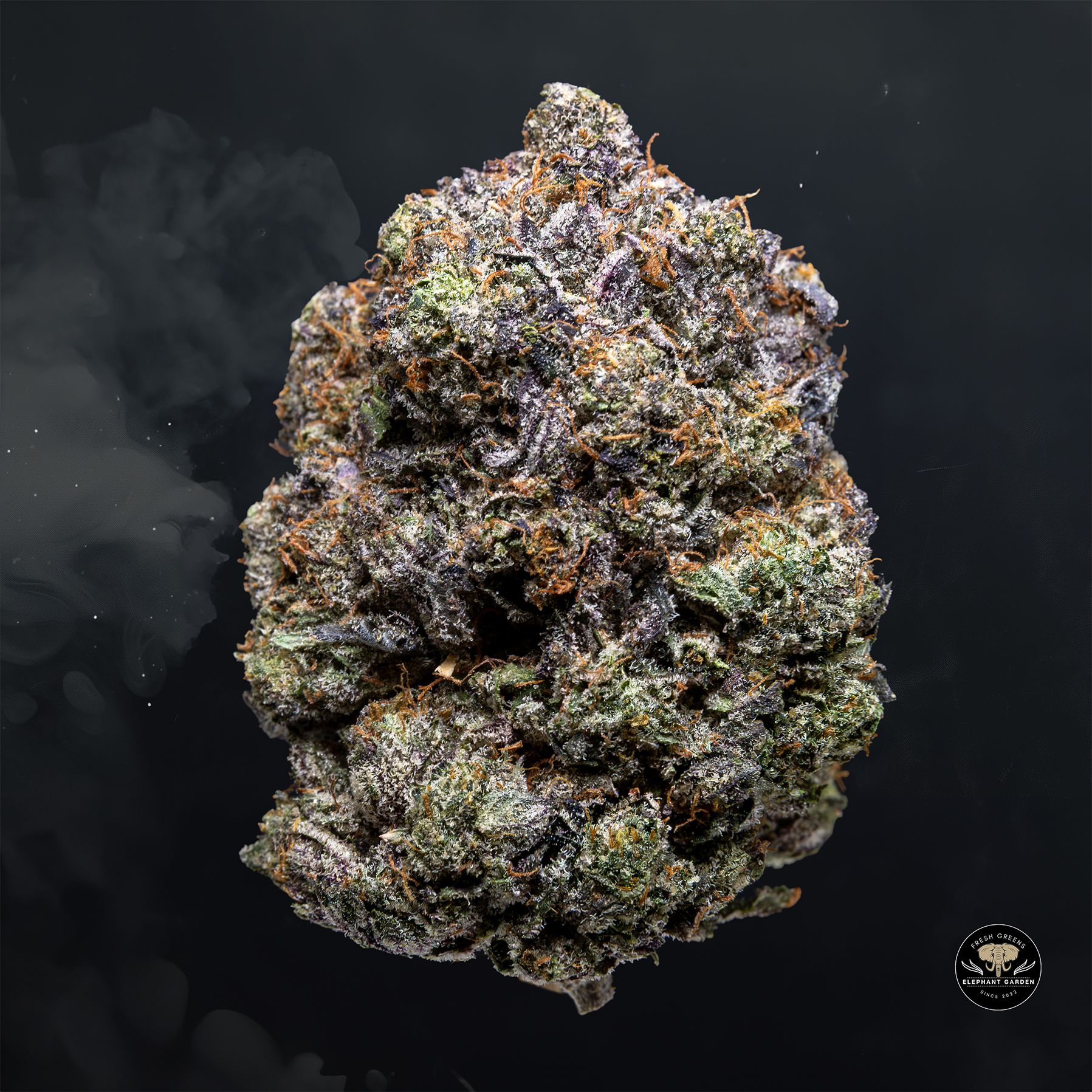 Buy Death Tuna at Elephant Garden Co Weed Dispensary Float 3 11 25 2