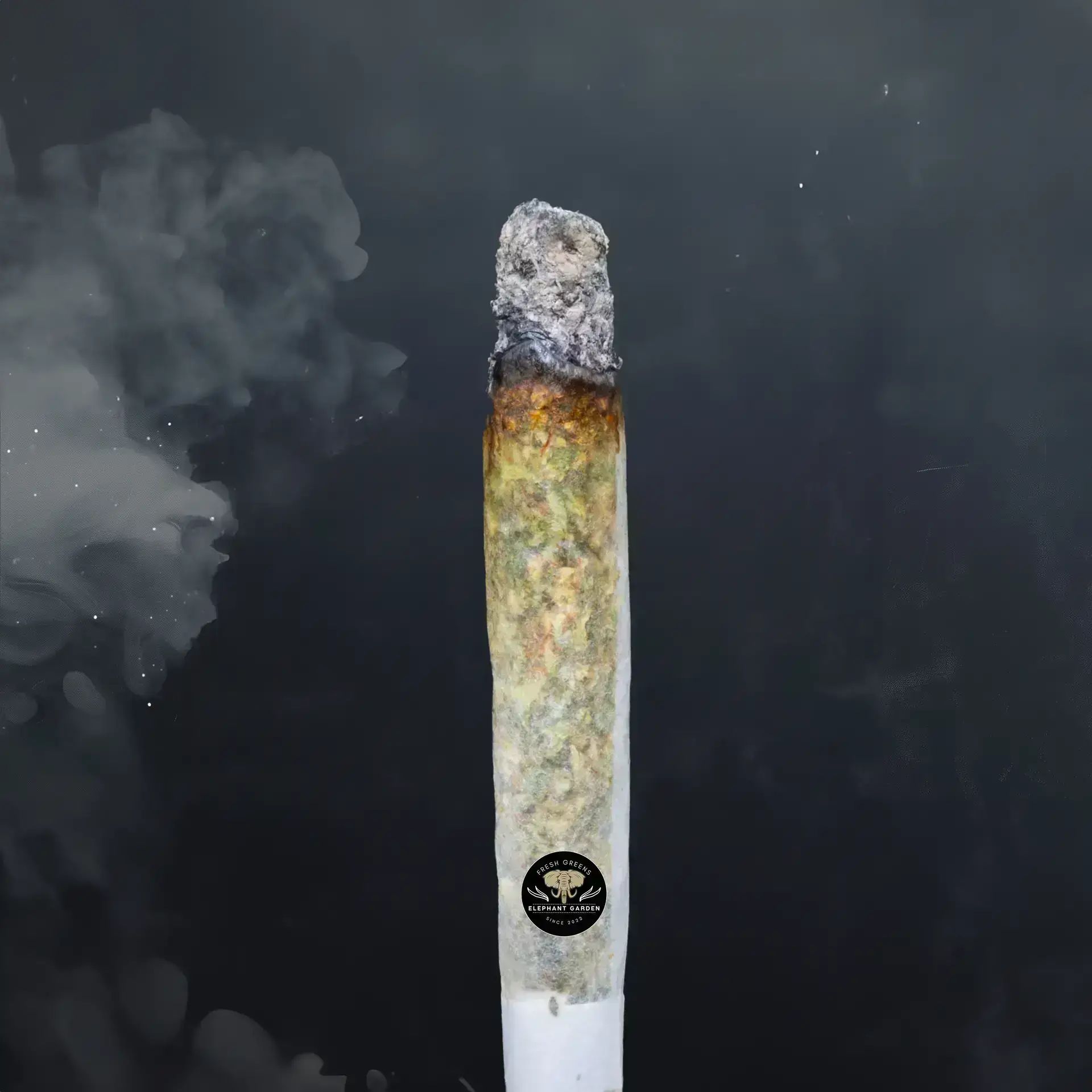 Buy Cereal Milk at Elephant Garden Co Weed Dispensary Burn Test 8 7 2024 2