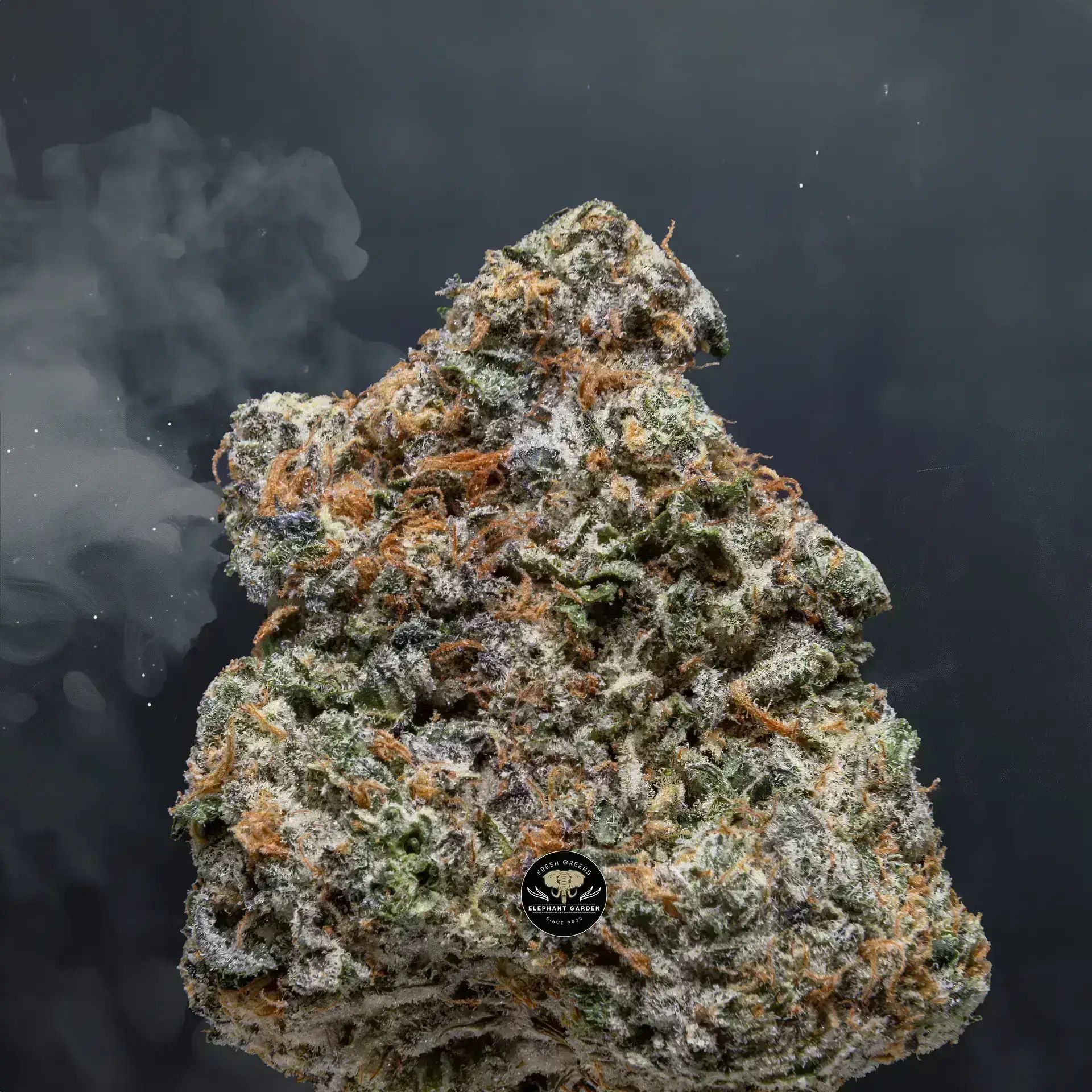 Buy Cereal Milk at Elephant Garden Co Weed Dispensary Close 8 7 24 2