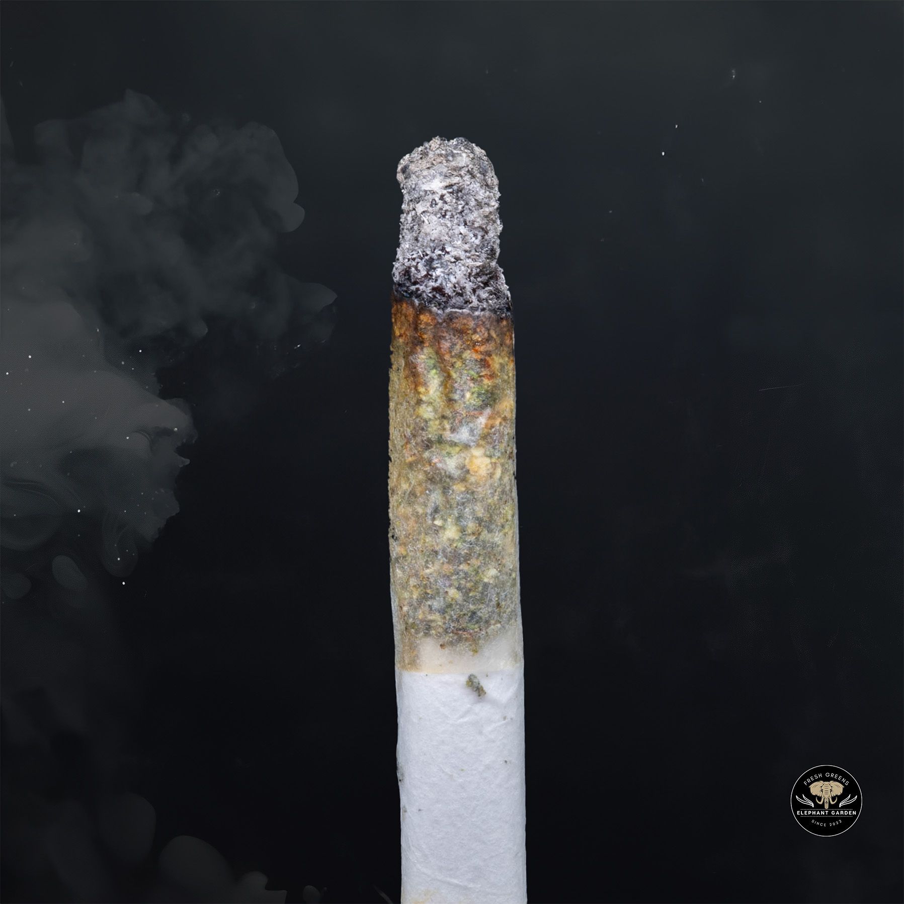 Buy Coastal Pink at Elephant Garden Co Weed Dispensary Burn 3 6 25