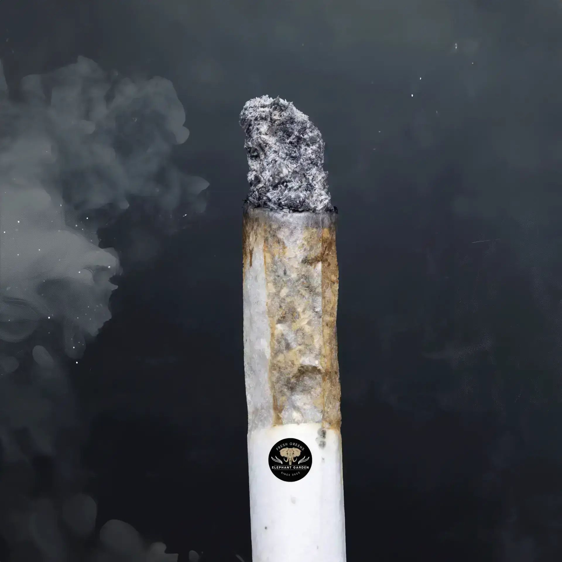 Buy Strawberry Gelato at Elephant Garden Co Weed Dispensary Burn Test 8 7 2024 2