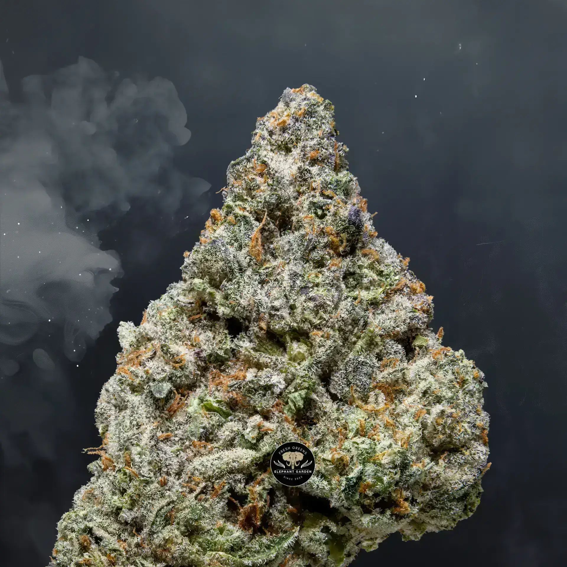 Buy Strawberry Gelato at Elephant Garden Co Weed Dispensary Close 8 7 24 2