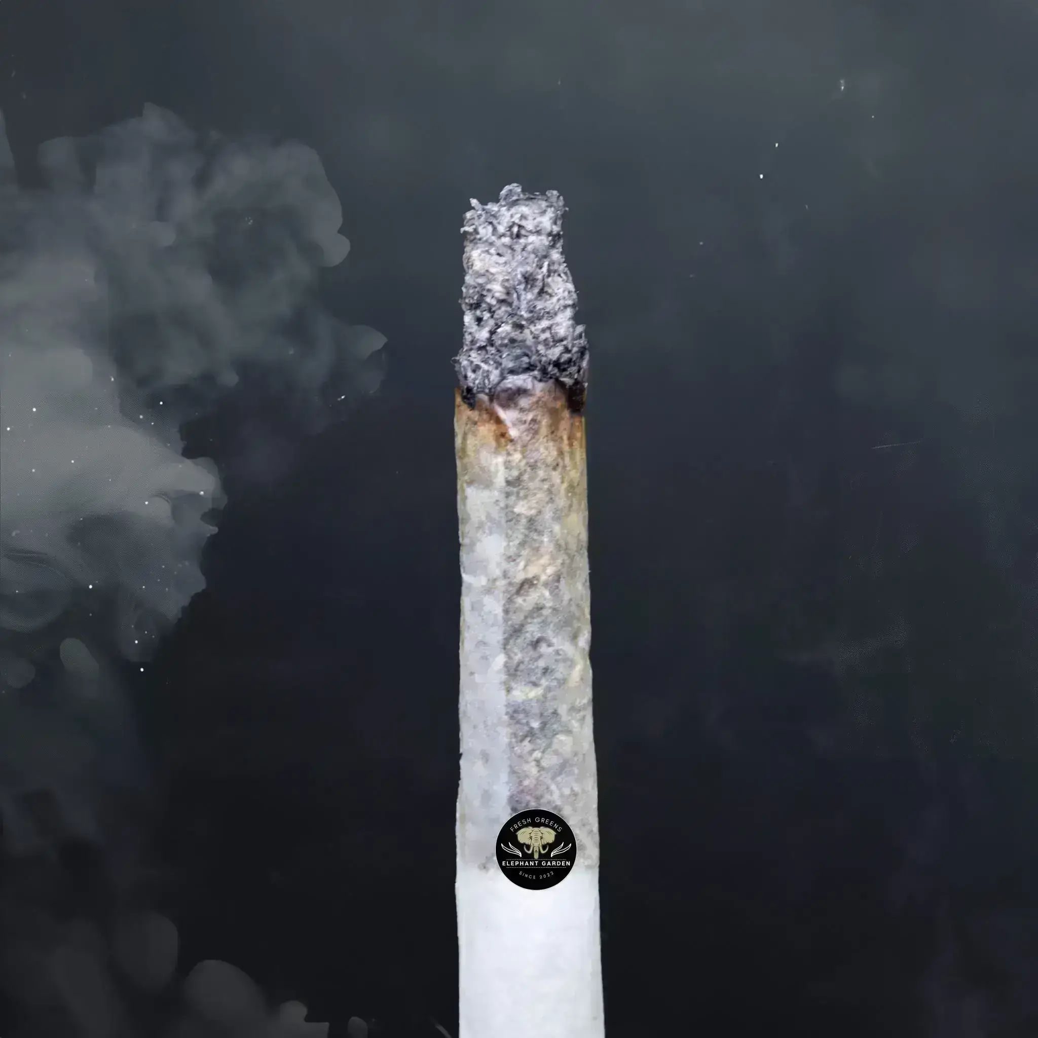 Buy Death Bubba at Elephant Garden Co Weed Dispensary Burn 11 13 24