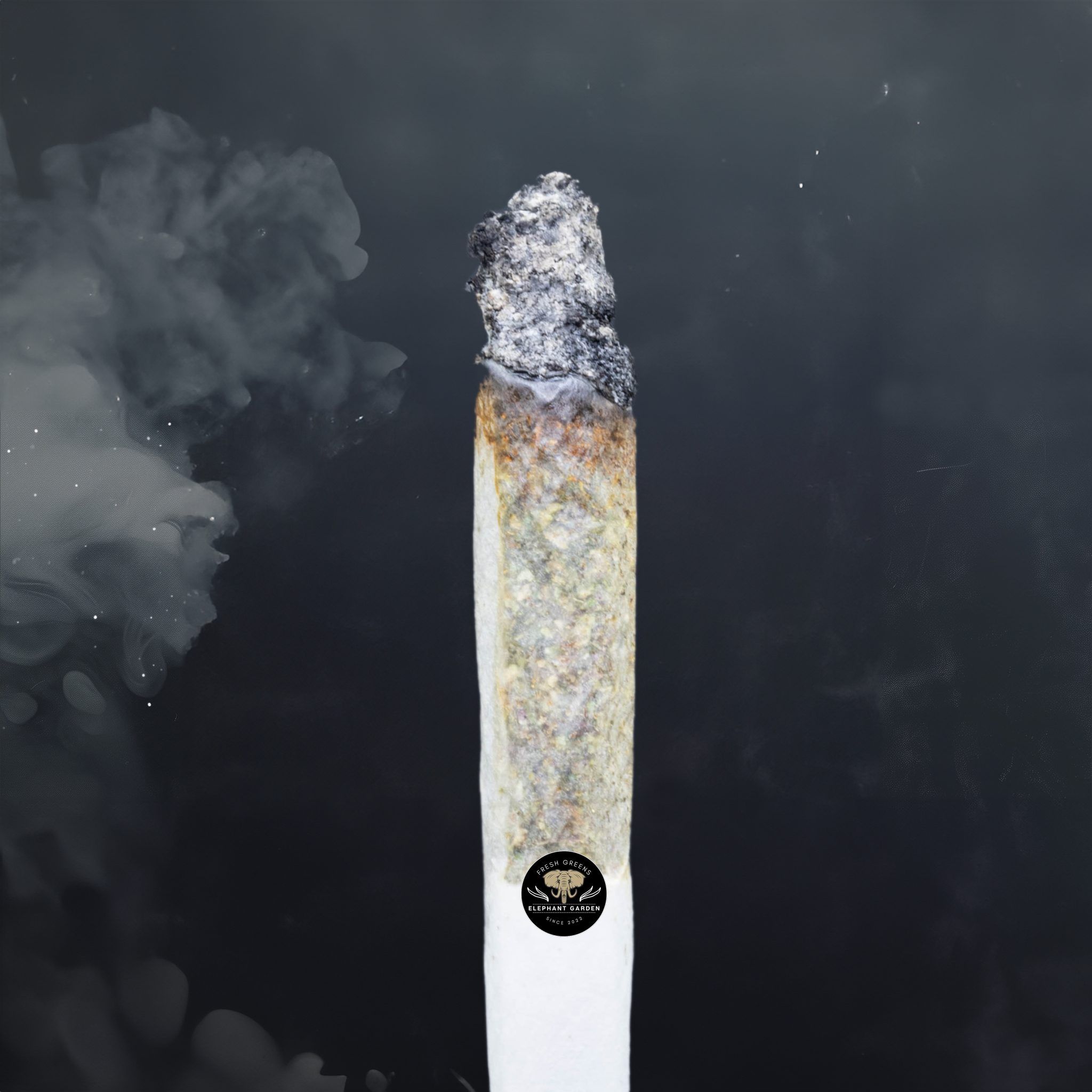 Buy El Chapo at Elephant Garden Co Weed Dispensary Burn Test 7 16 2024 2