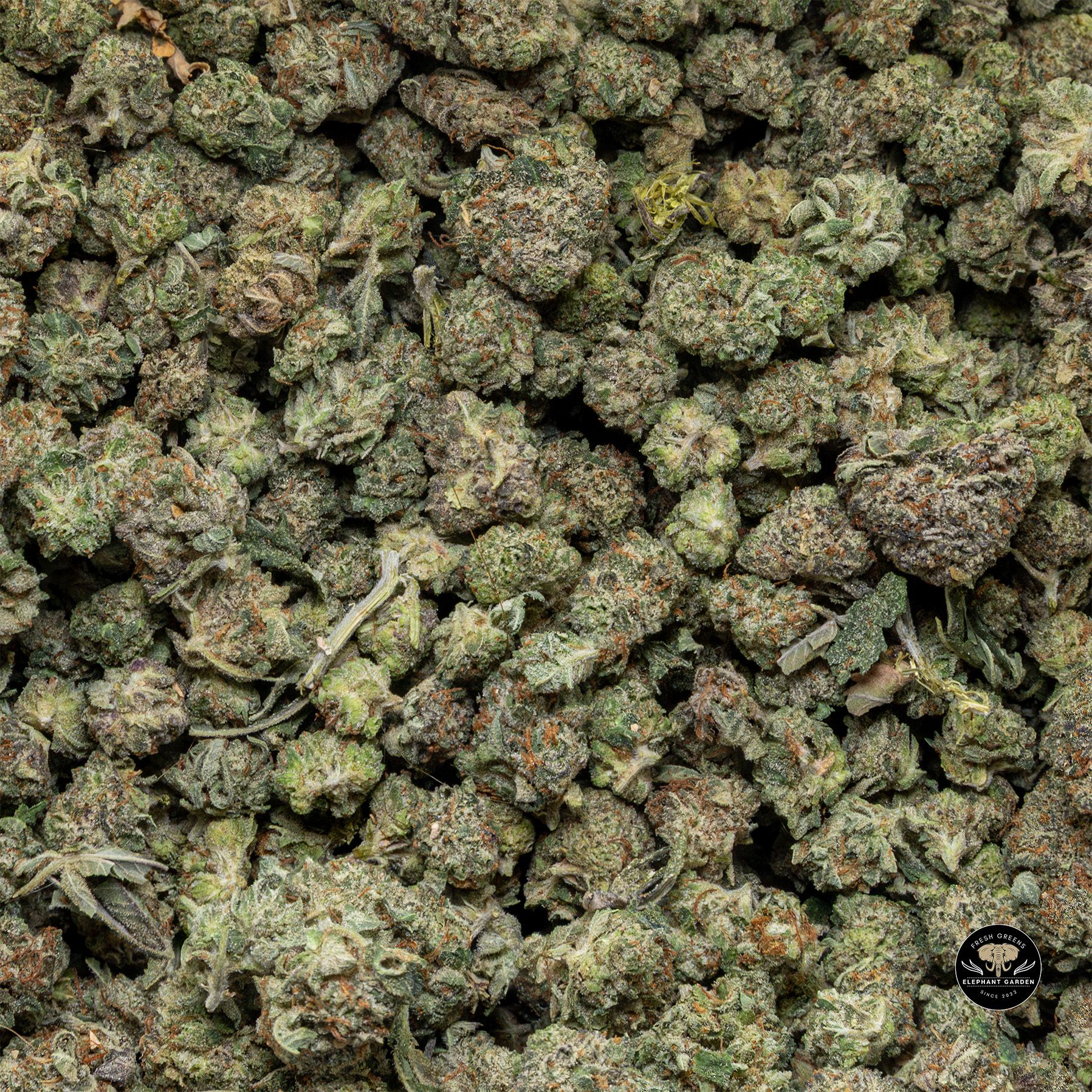 Buy Greasy Monkey Popcorn at Elephant Garden Co Weed Dispensary Bulk 3 6 25
