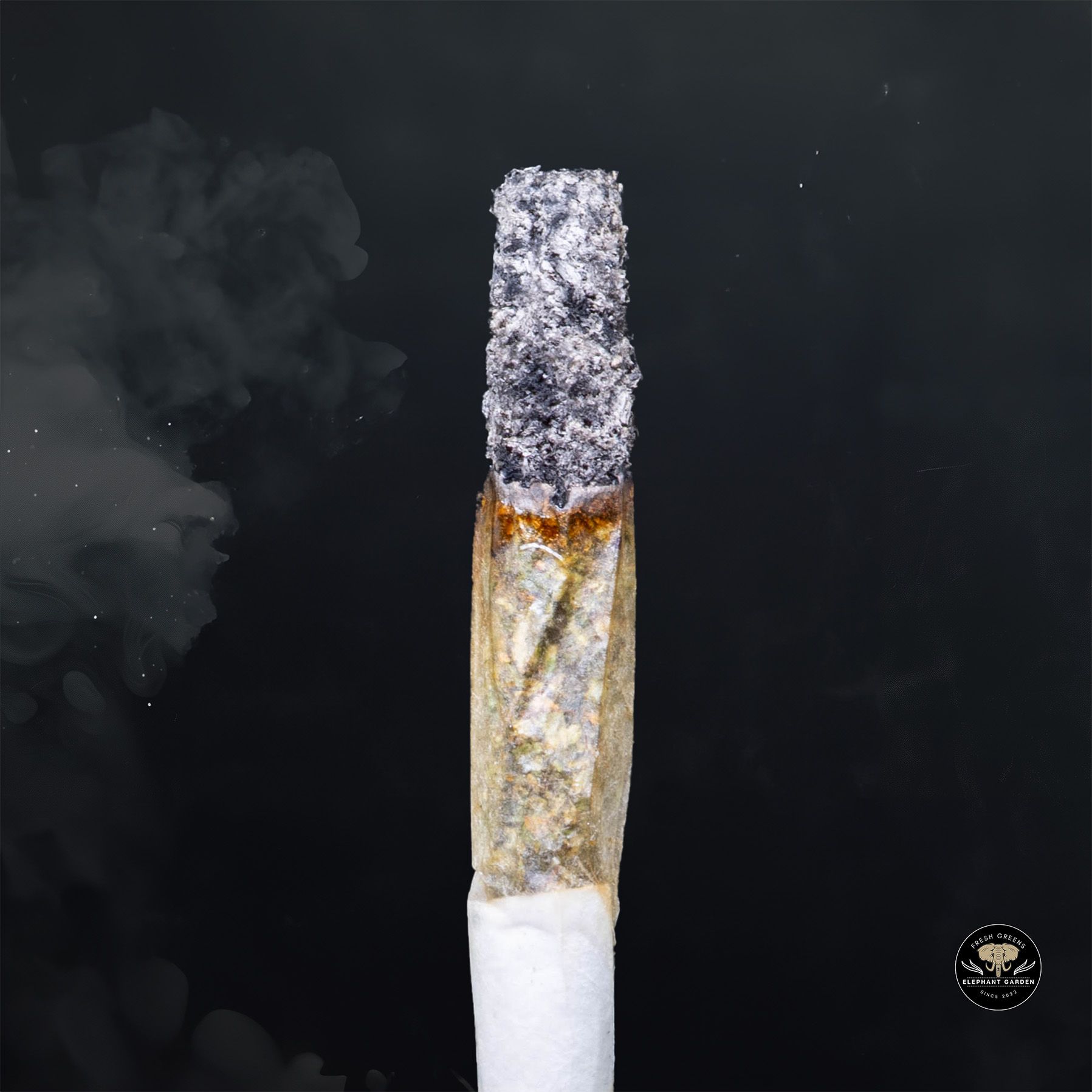 Buy Greasy Monkey at Elephant Garden Co Weed Dispensary Burn 1 23 25