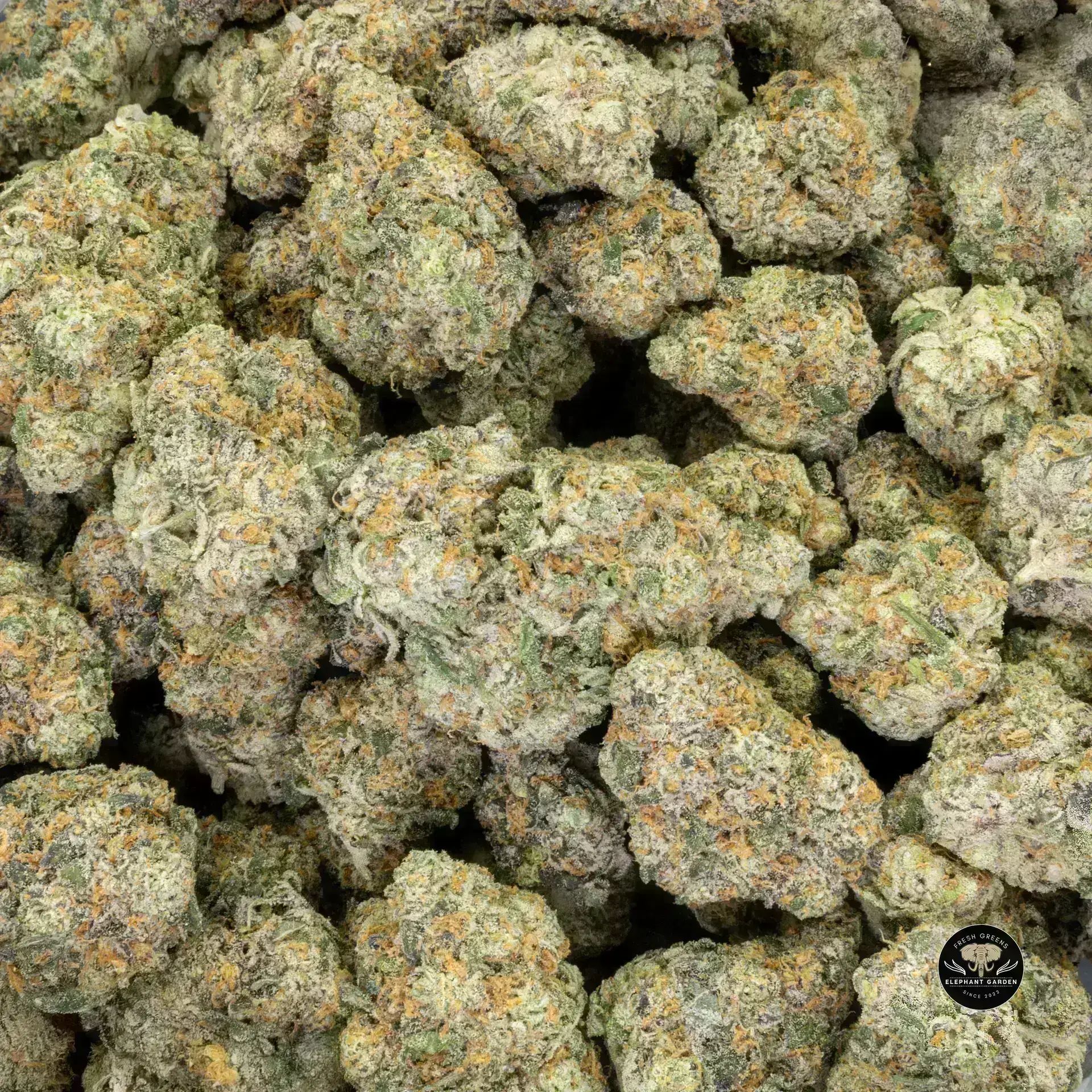 Buy La Kush Cake at Elephant Garden Co Weed Dispensary Bulk 11 13 24