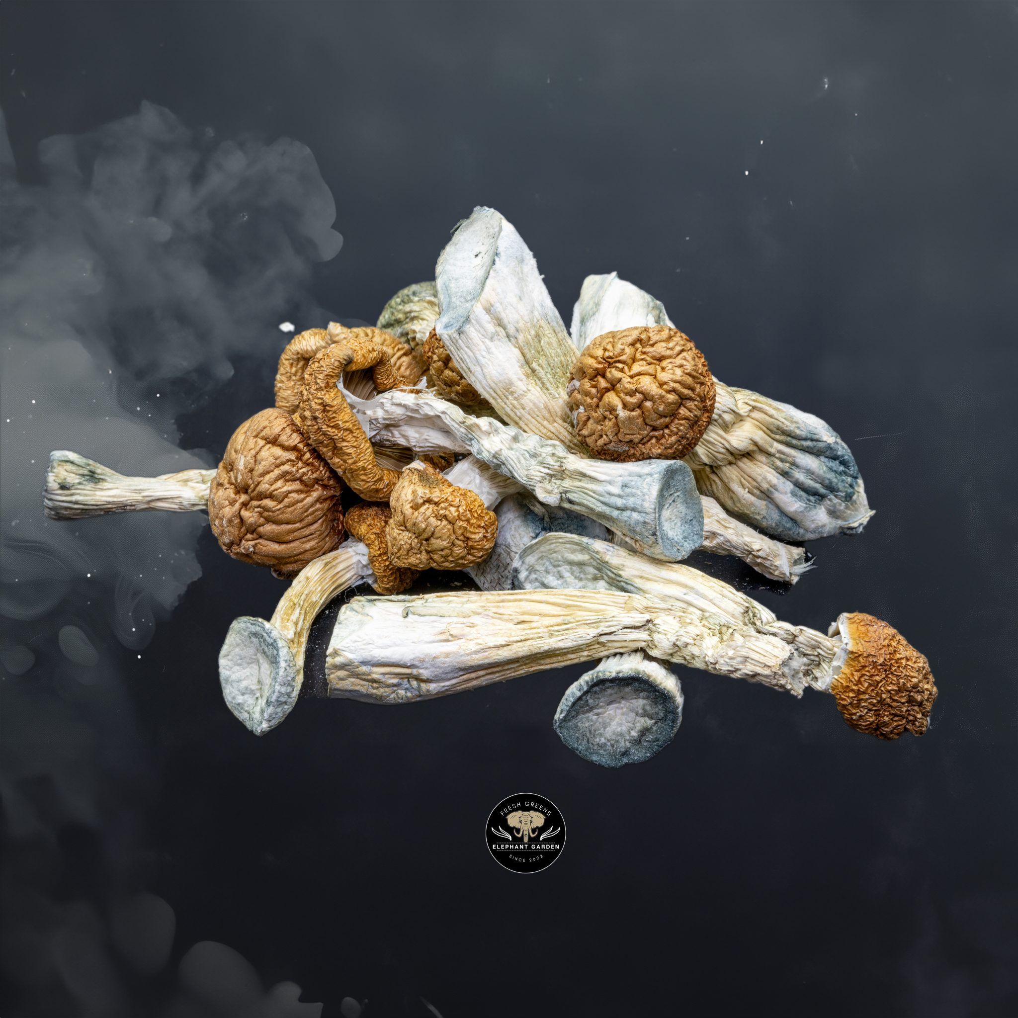 Buy Malabar at Elephant Garden Co Weed Dispensary Close 6 24 24