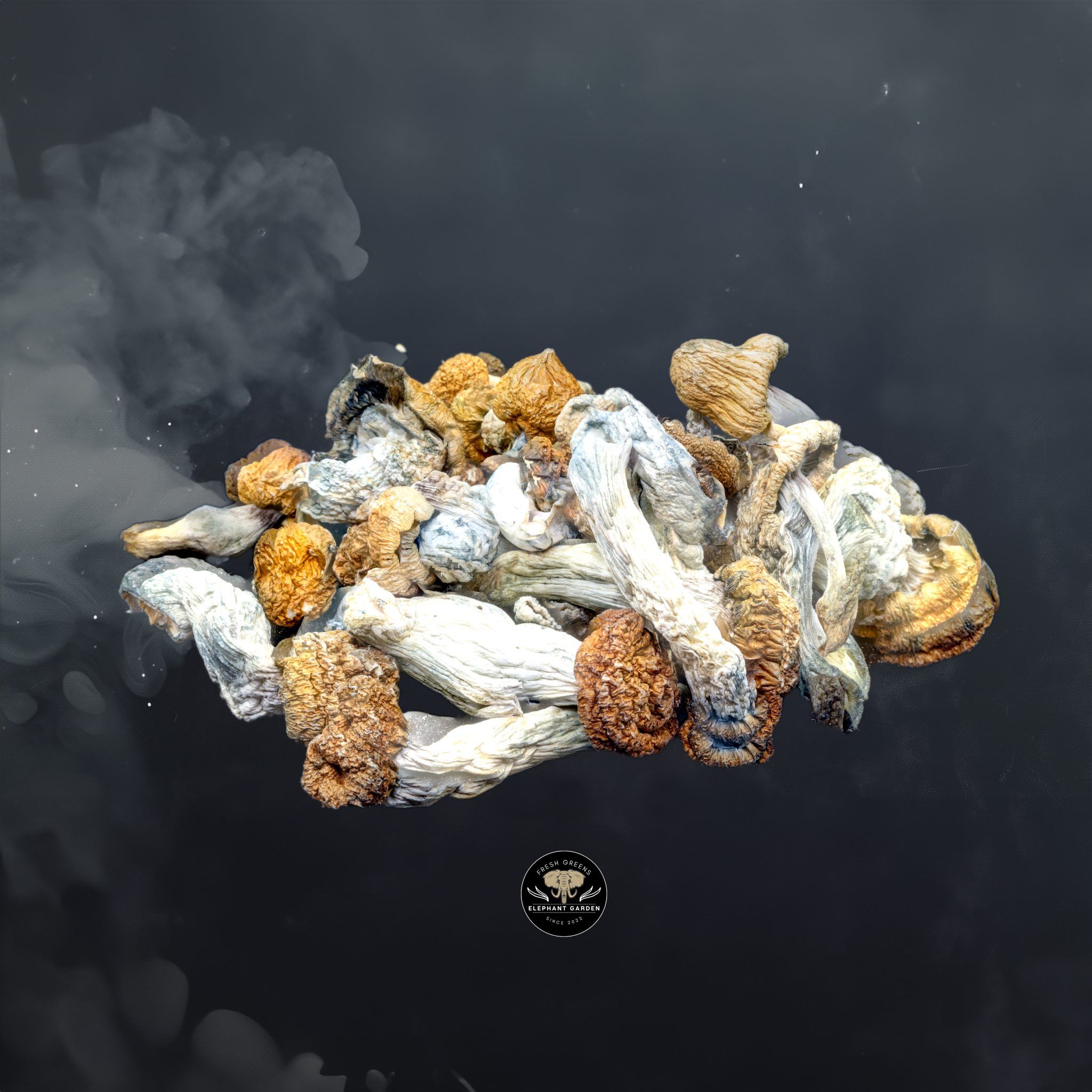 Buy Melmac at Elephant Garden Co Weed Dispensary Close 6 24 24