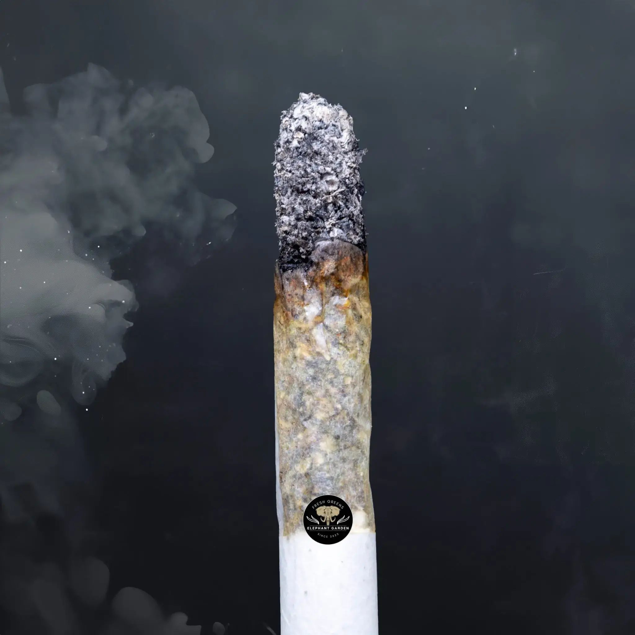 Buy Organic Pink at Elephant Garden Co Weed Dispensary Burn Test 8 7 2024 2