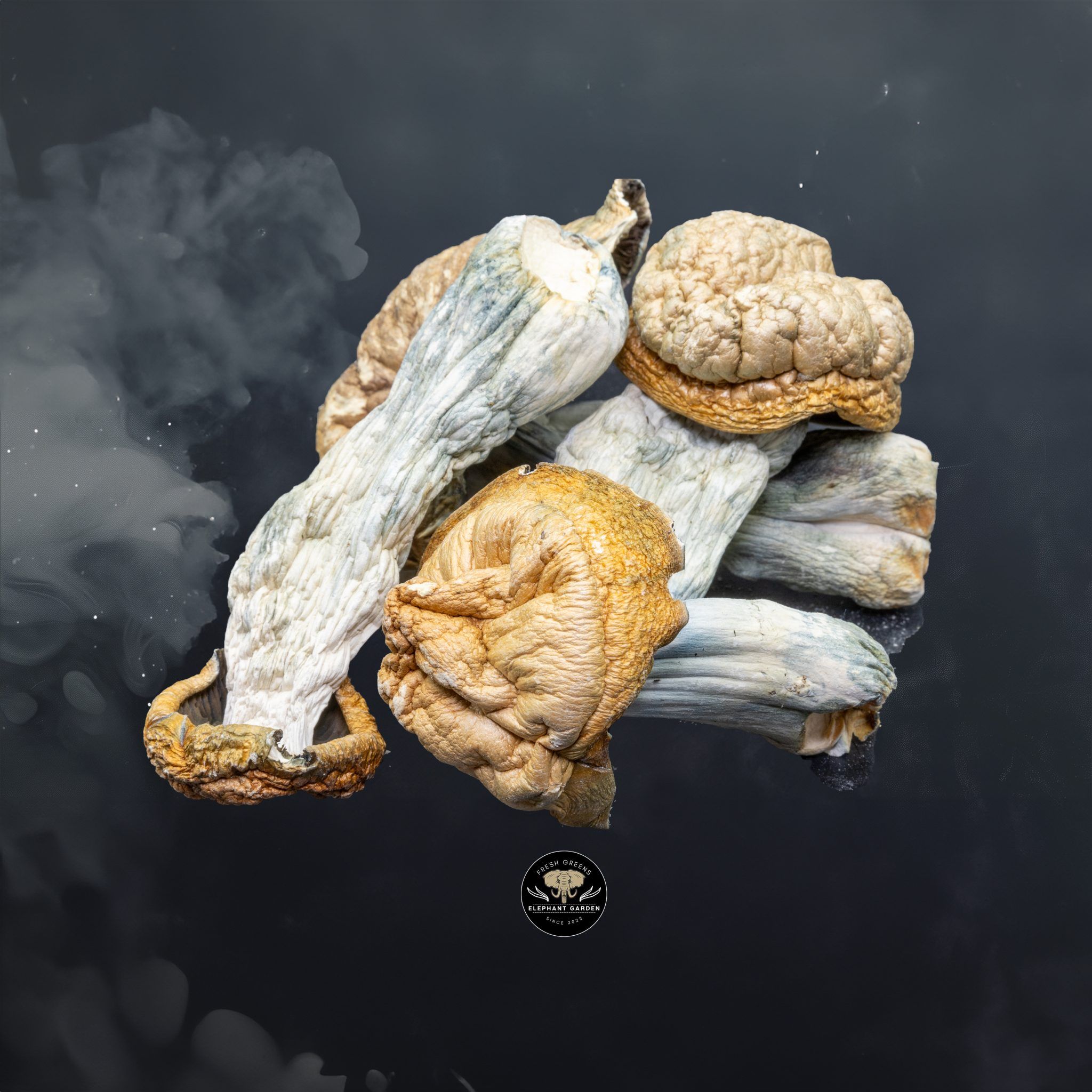 Buy Penis Envy at Elephant Garden Co Weed Dispensary Close 6 24 24