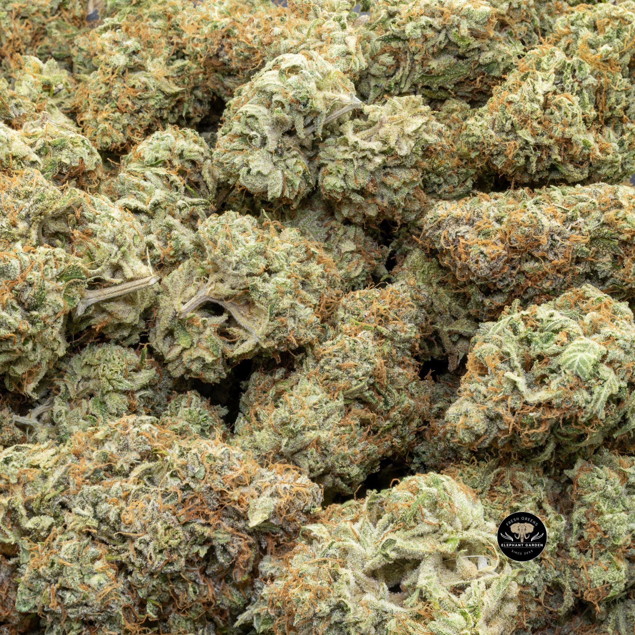 Buy Super Lemon Haze (Bulk) at Elephant Garden Co Weed Dispensary Close 6 13 2024
