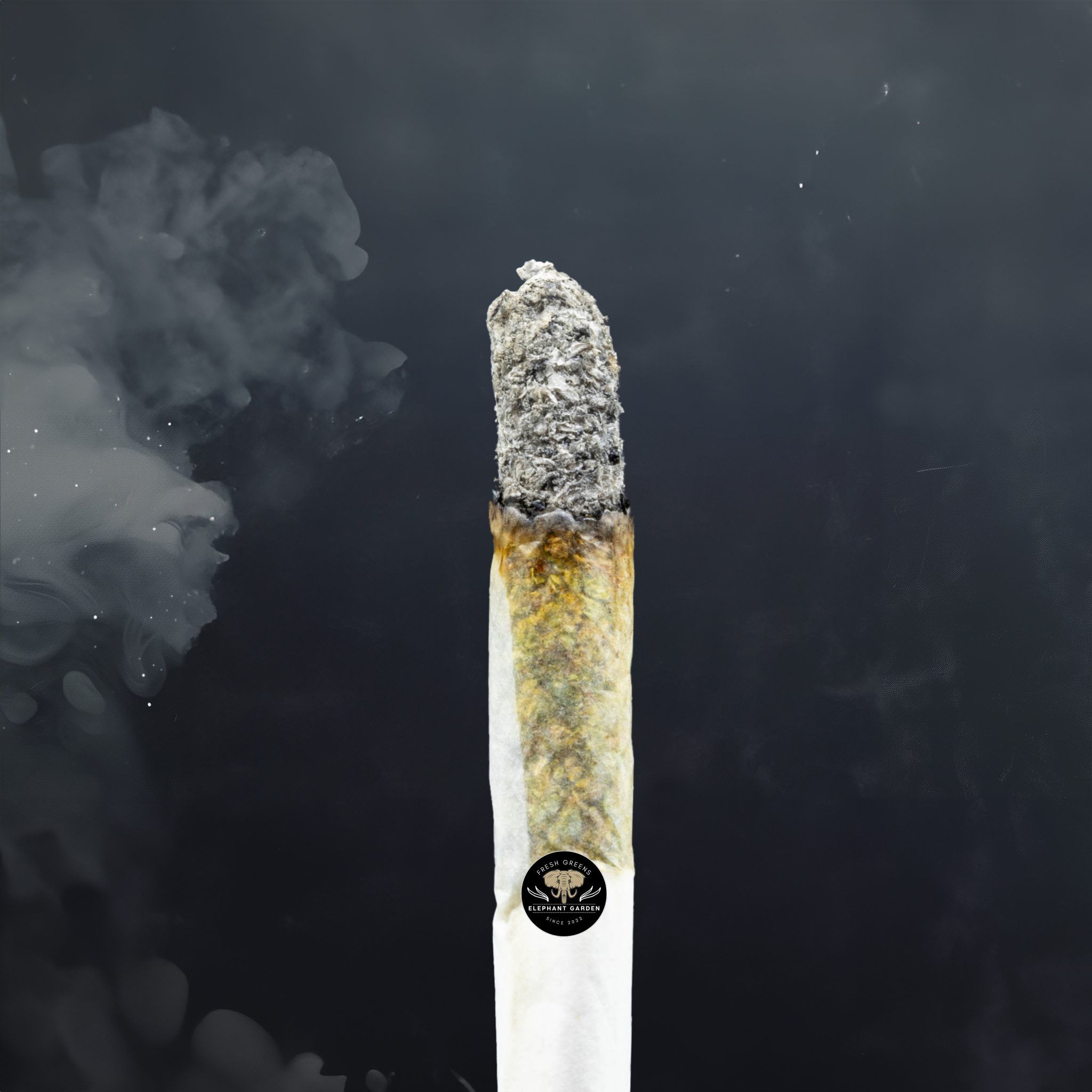 Buy Super Lemon Haze at Elephant Garden Co Weed Dispensary Burn Test 6 13 2024 2