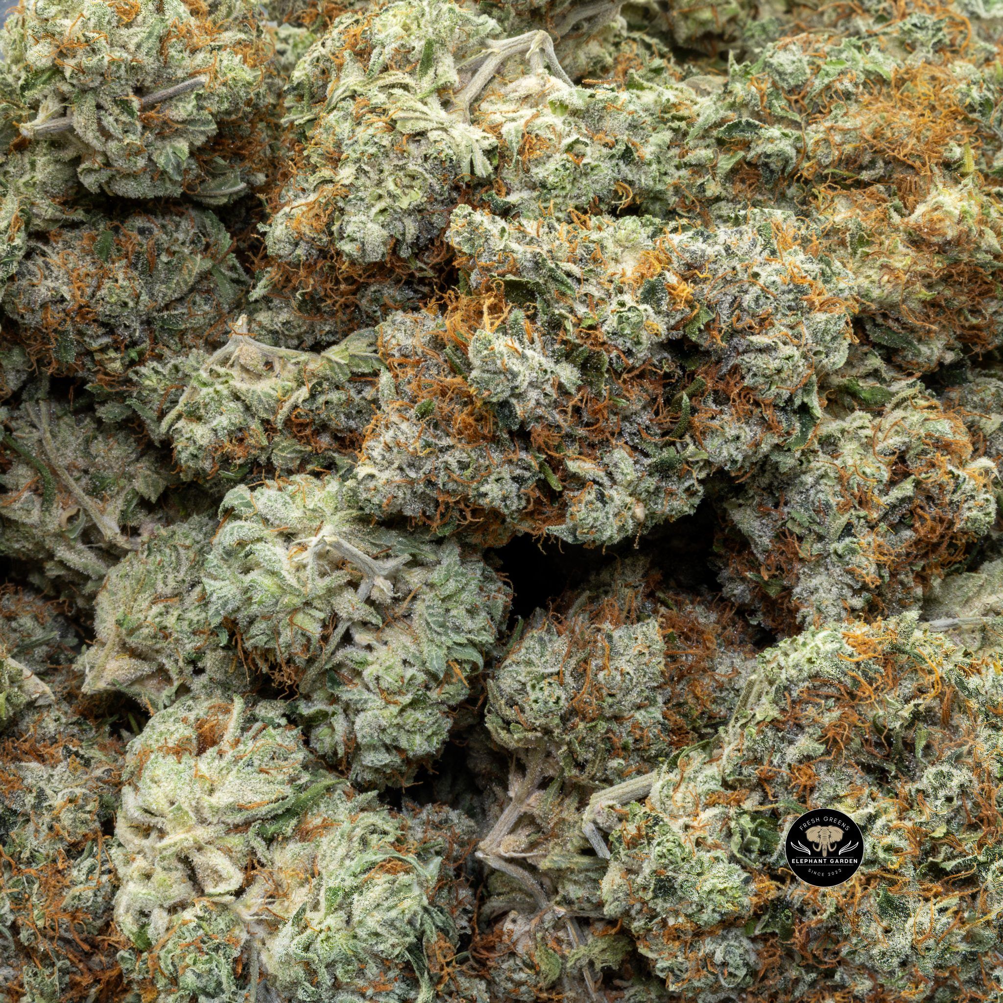 Buy Sour Tahoe (Bulk) at Elephant Garden Co Weed Dispensary Close 6 18 2024