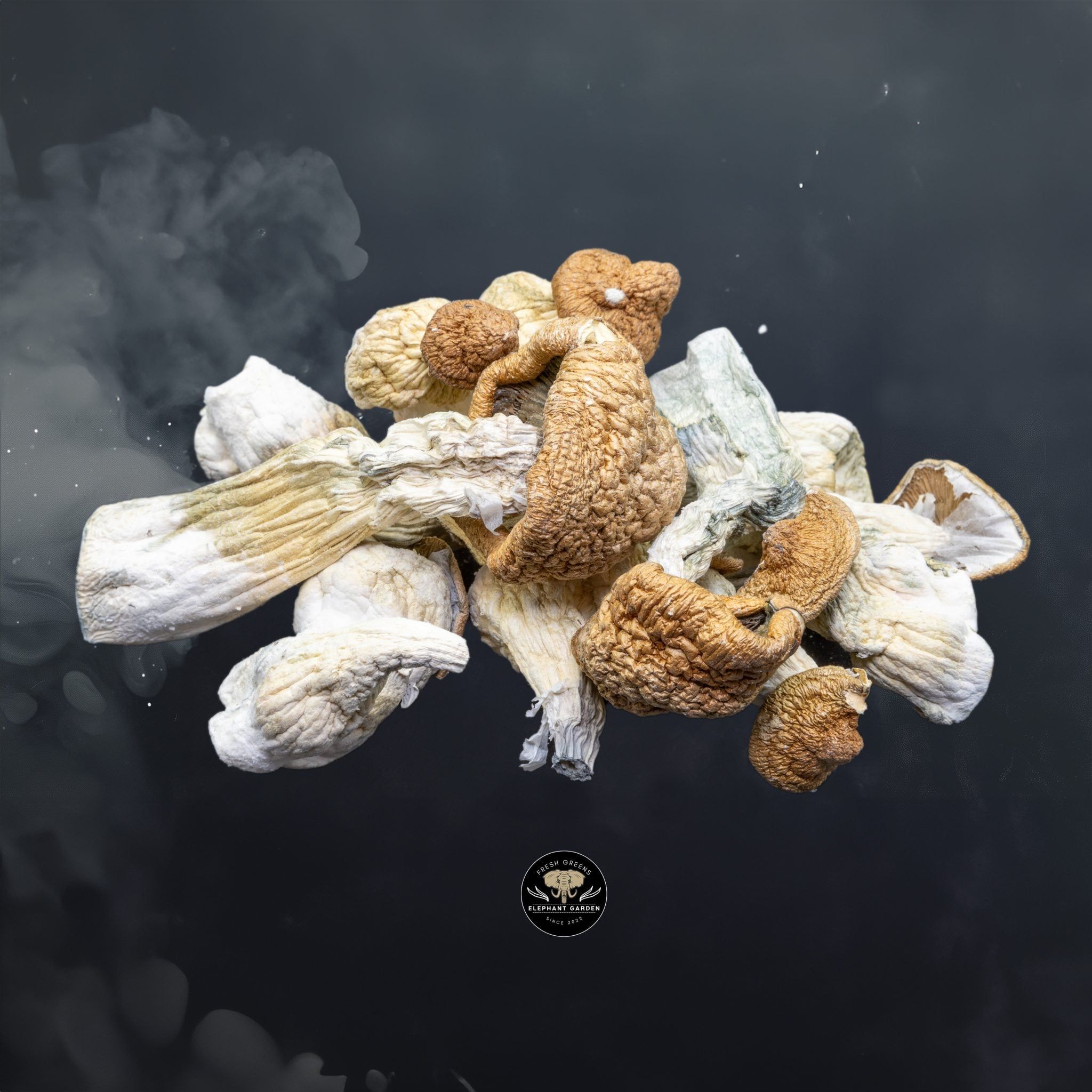 Buy Transkei at Elephant Garden Co Weed Dispensary Close 6 24 24