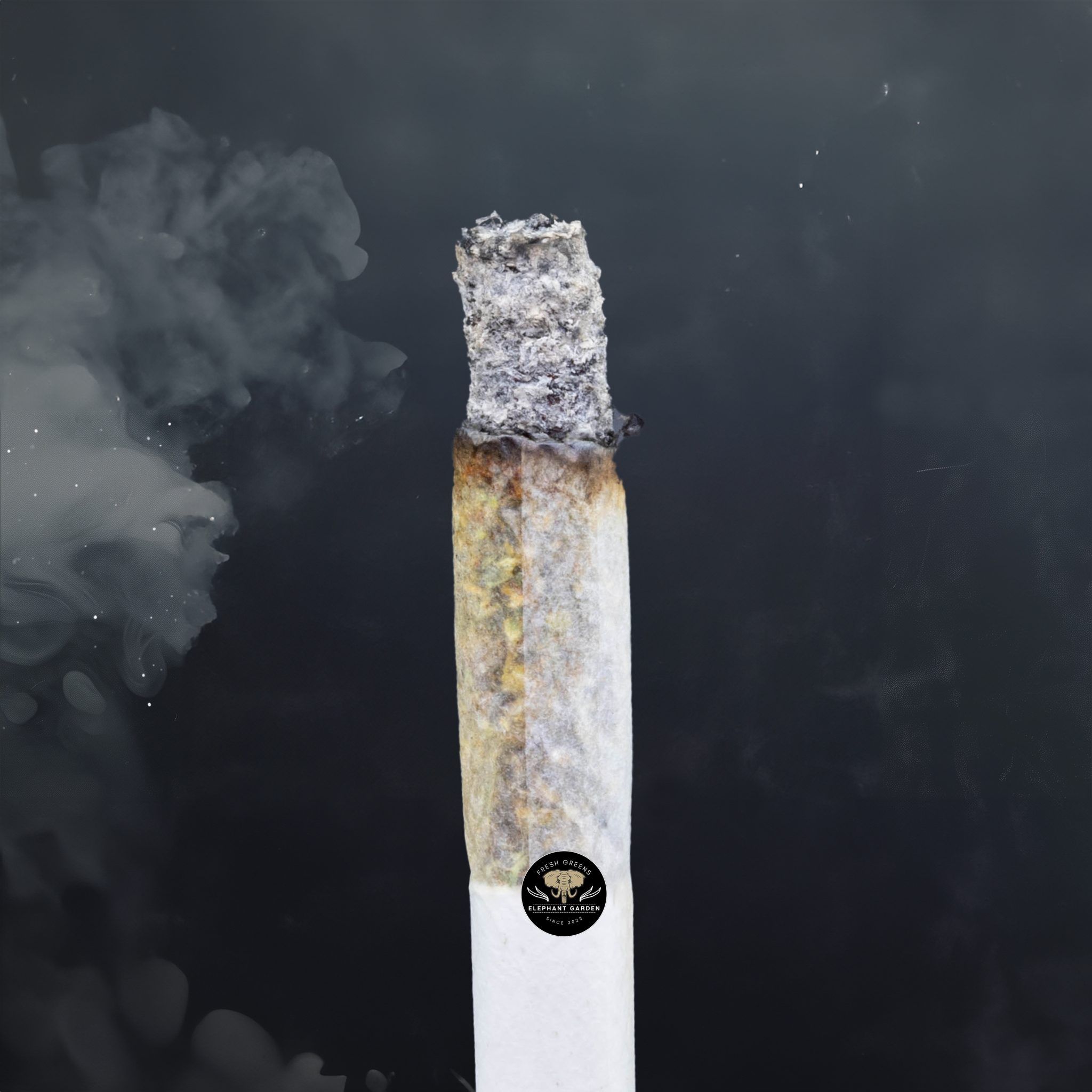 Buy Lava Cake at Elephant Garden Co Weed Dispensary Burn Test 8 7 2024 3