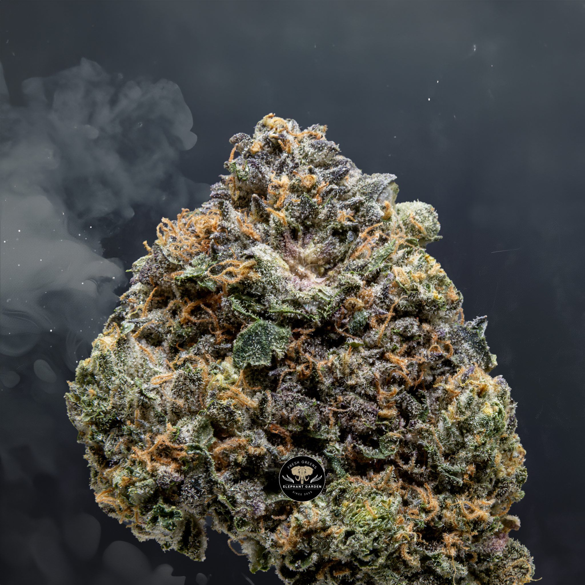 Buy Lava Cake at Elephant Garden Co Weed Dispensary Close 8 9 24 2