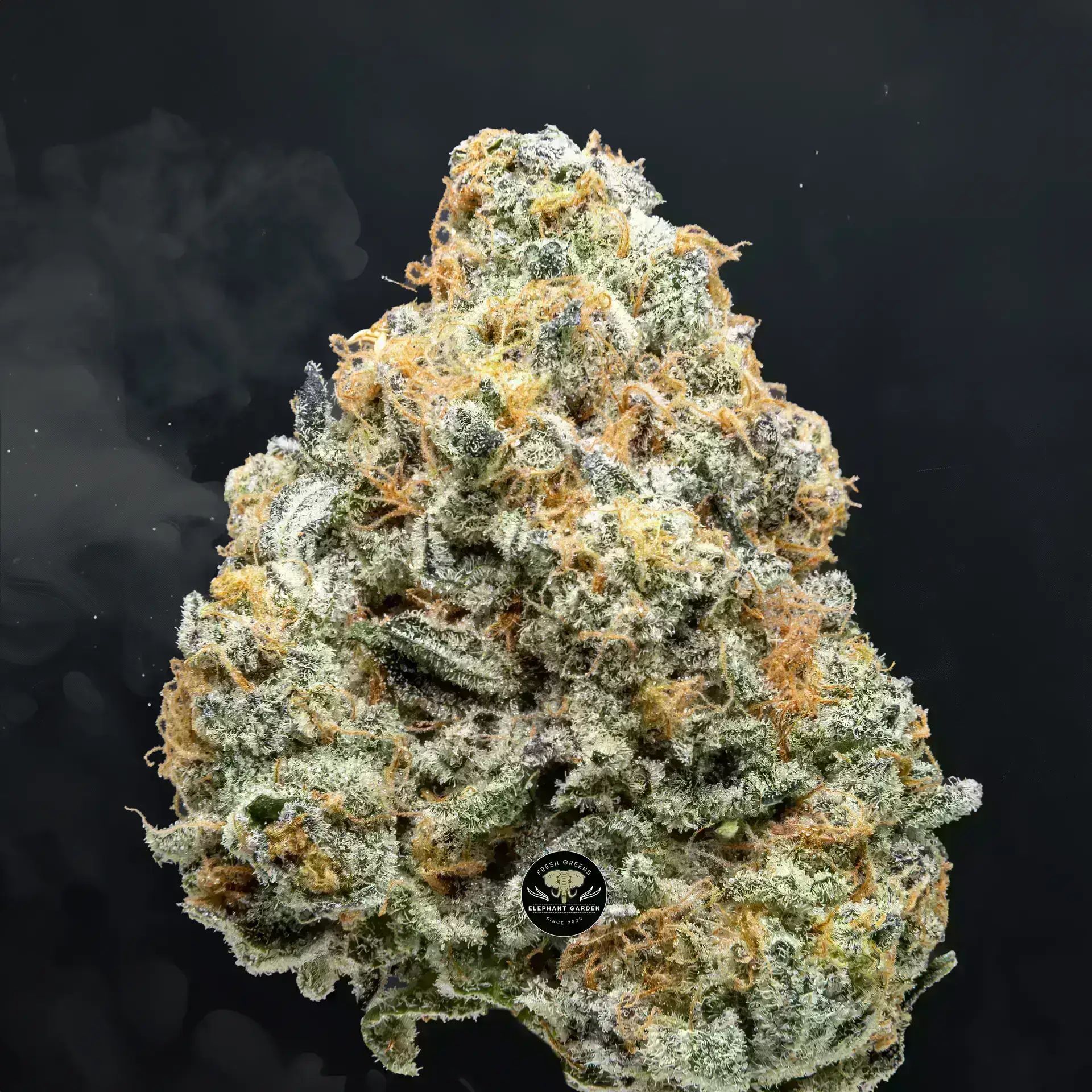 Buy Zookies at Elephant Garden Co Weed Dispensary Close 8 19 24