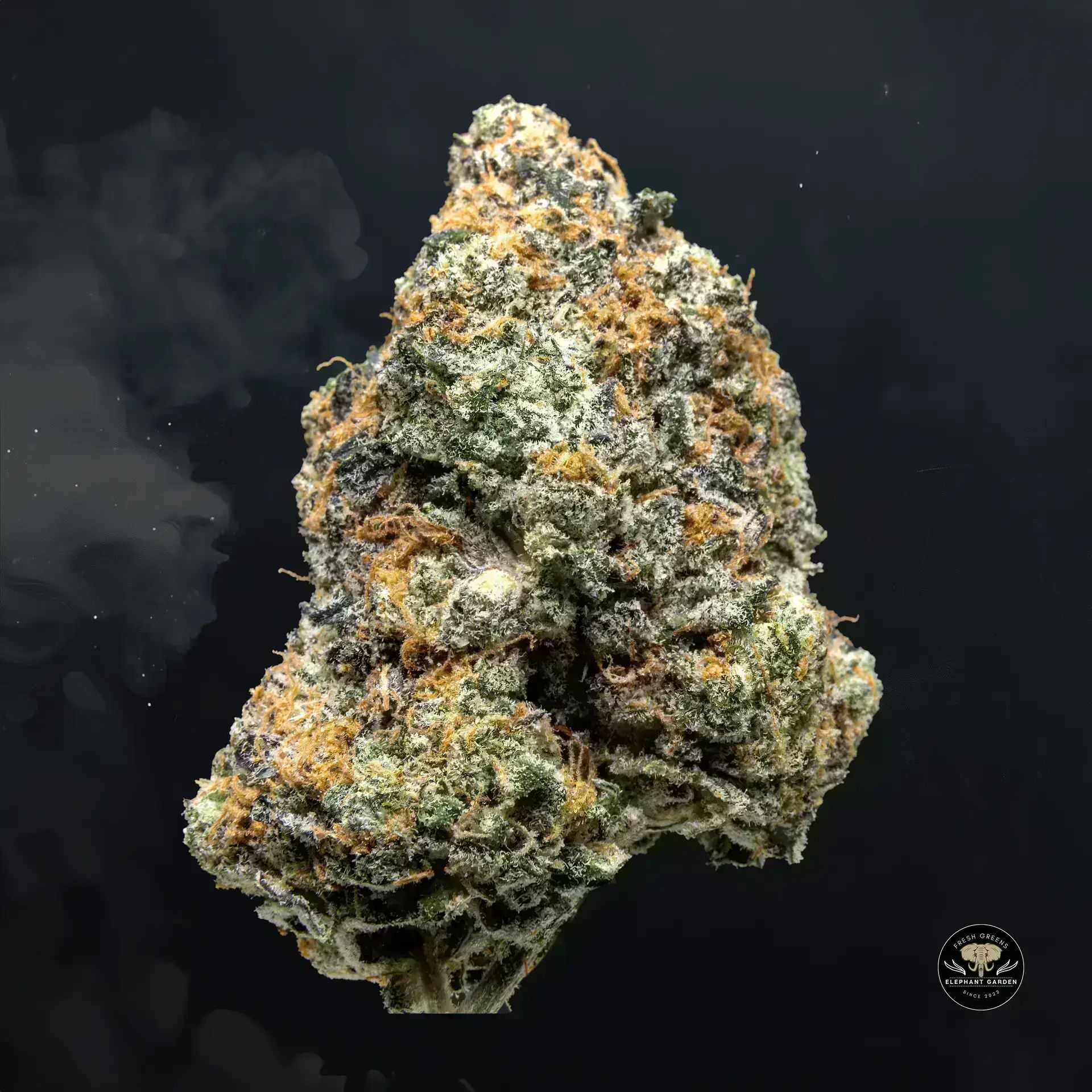 Buy la kush cake at Elephant Garden Co Weed Dispensary Float 11 13 24 4