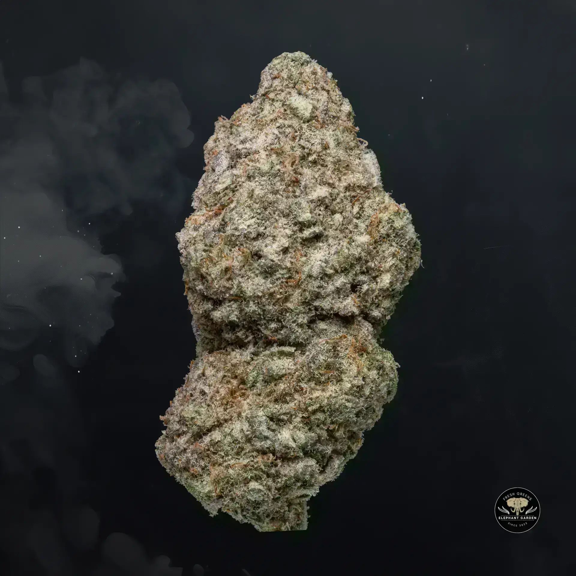 Buy Blueberry Mac at Elephant Garden Co Weed Dispensary Float 11 13 24 4
