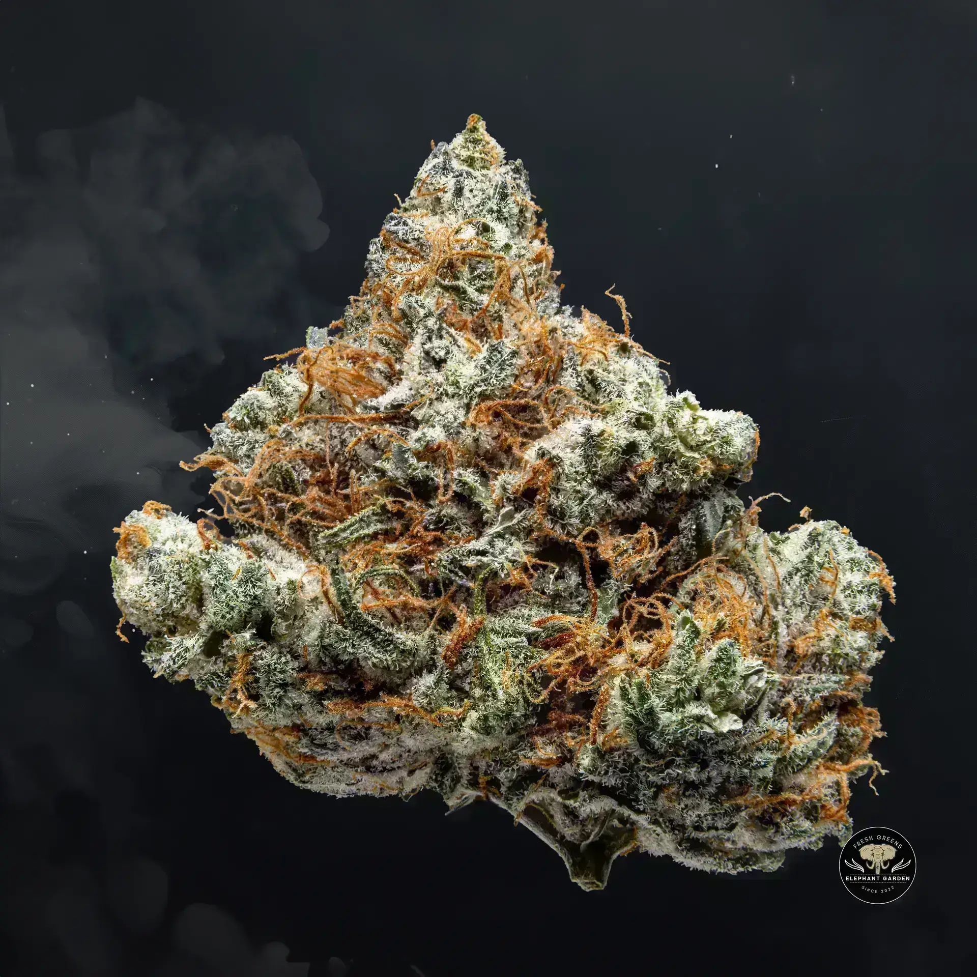 Buy Kish at Elephant Garden Co Weed Dispensary Float 11 13 24 4