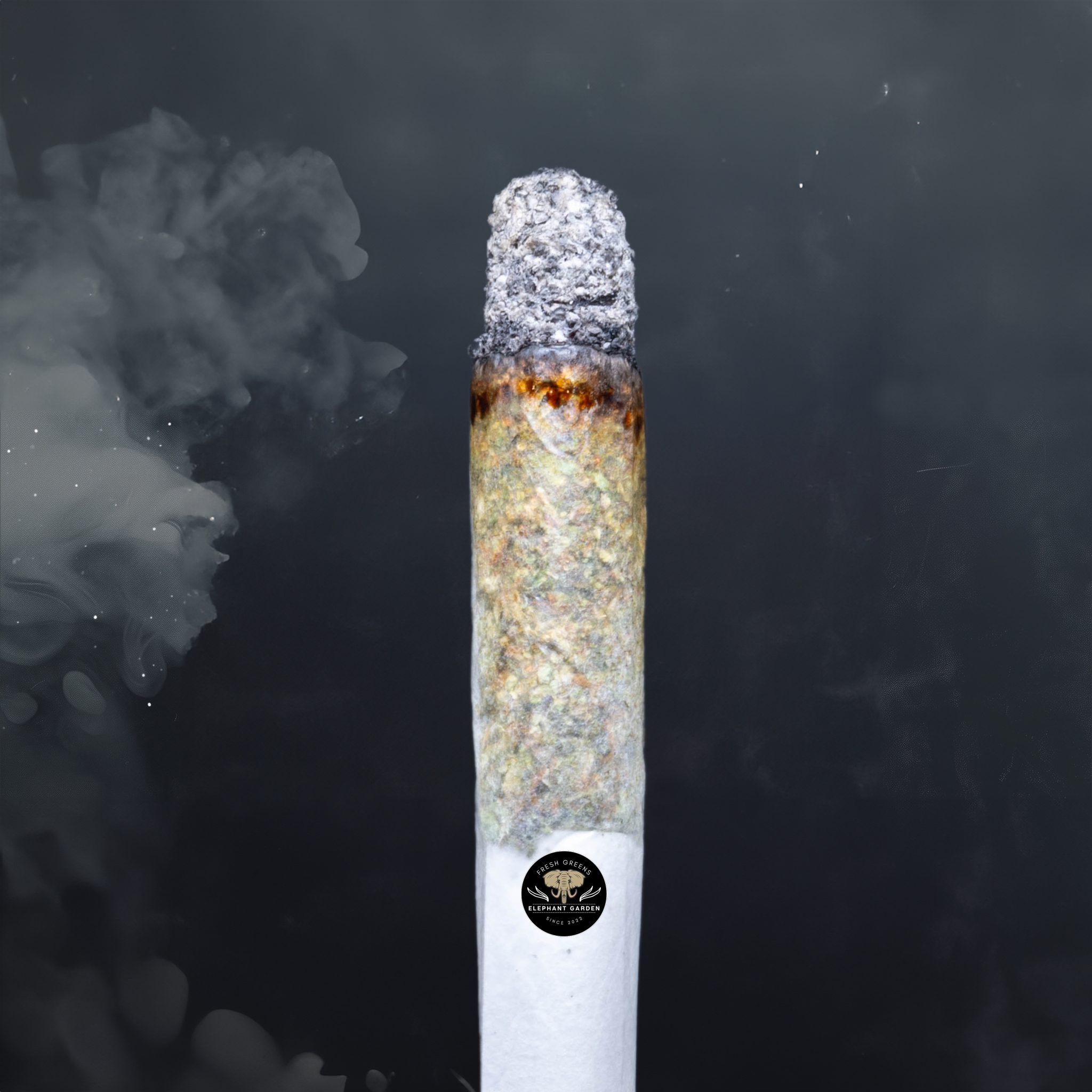 Buy Milk Grenade at Elephant Garden Co Weed Dispensary Burn Test 7 3 2024 2