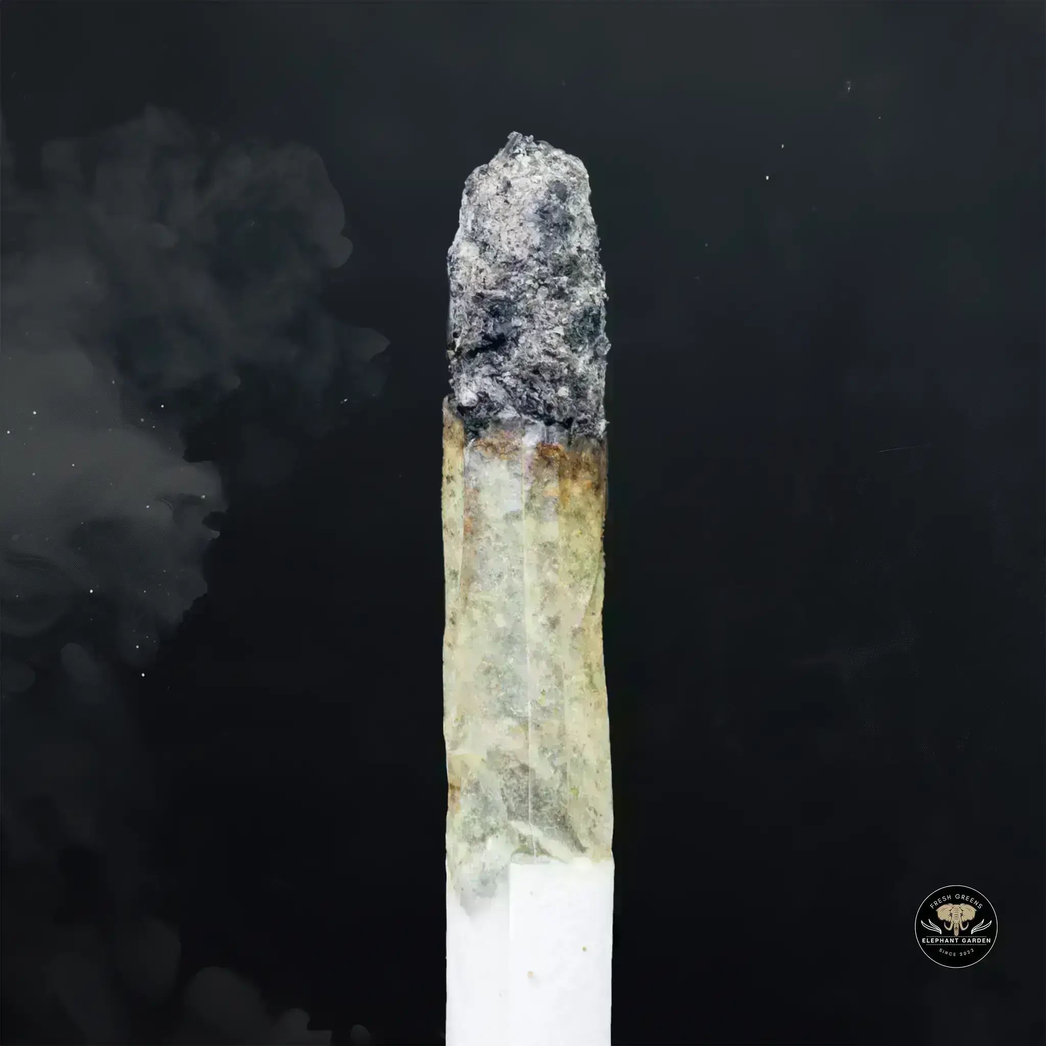 Buy Purple Octane at Elephant Garden Co Weed Dispensary Burn 11 13 24