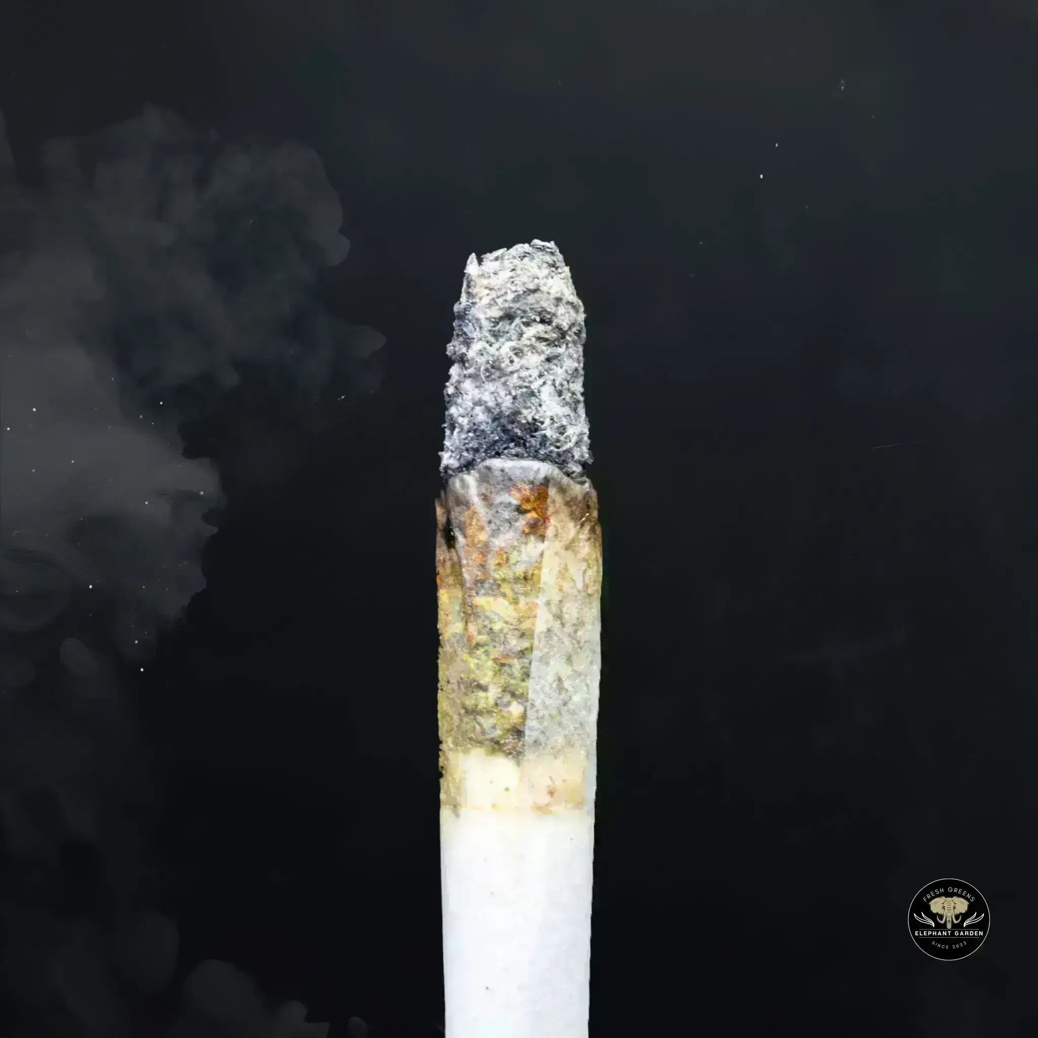 Buy Mike Tyson at Elephant Garden Co Weed Dispensary Burn 11 13 24