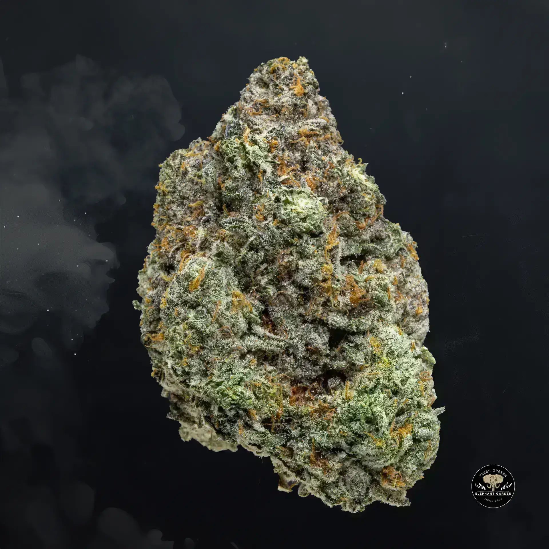 Buy Frosted Gelato at Elephant Garden Co Weed Dispensary Float 11 13 24