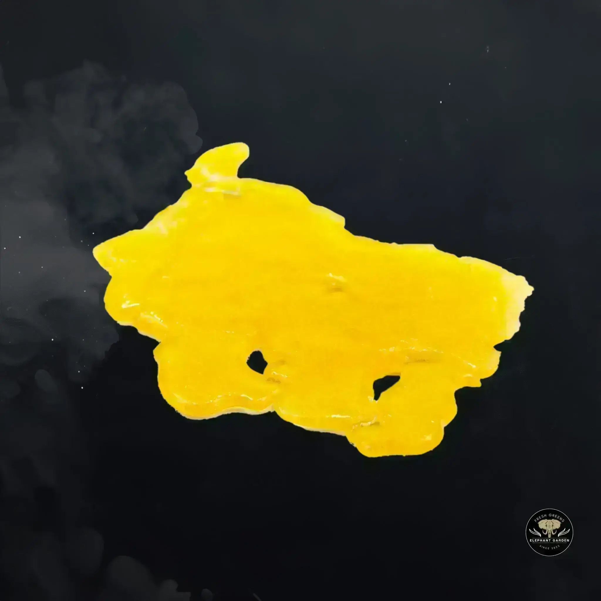 Buy Gouda Berry at Elephant Garden Co Weed Dispensary Float 11 13 24 4