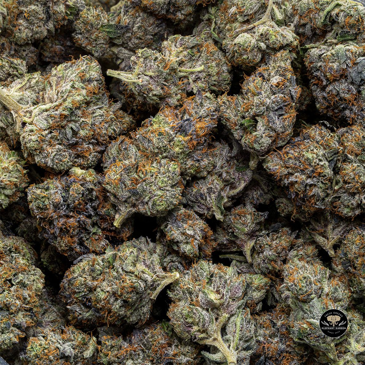 Buy Organic Pink at Elephant Garden Co Weed Dispensary Bulk 5 15 25 2