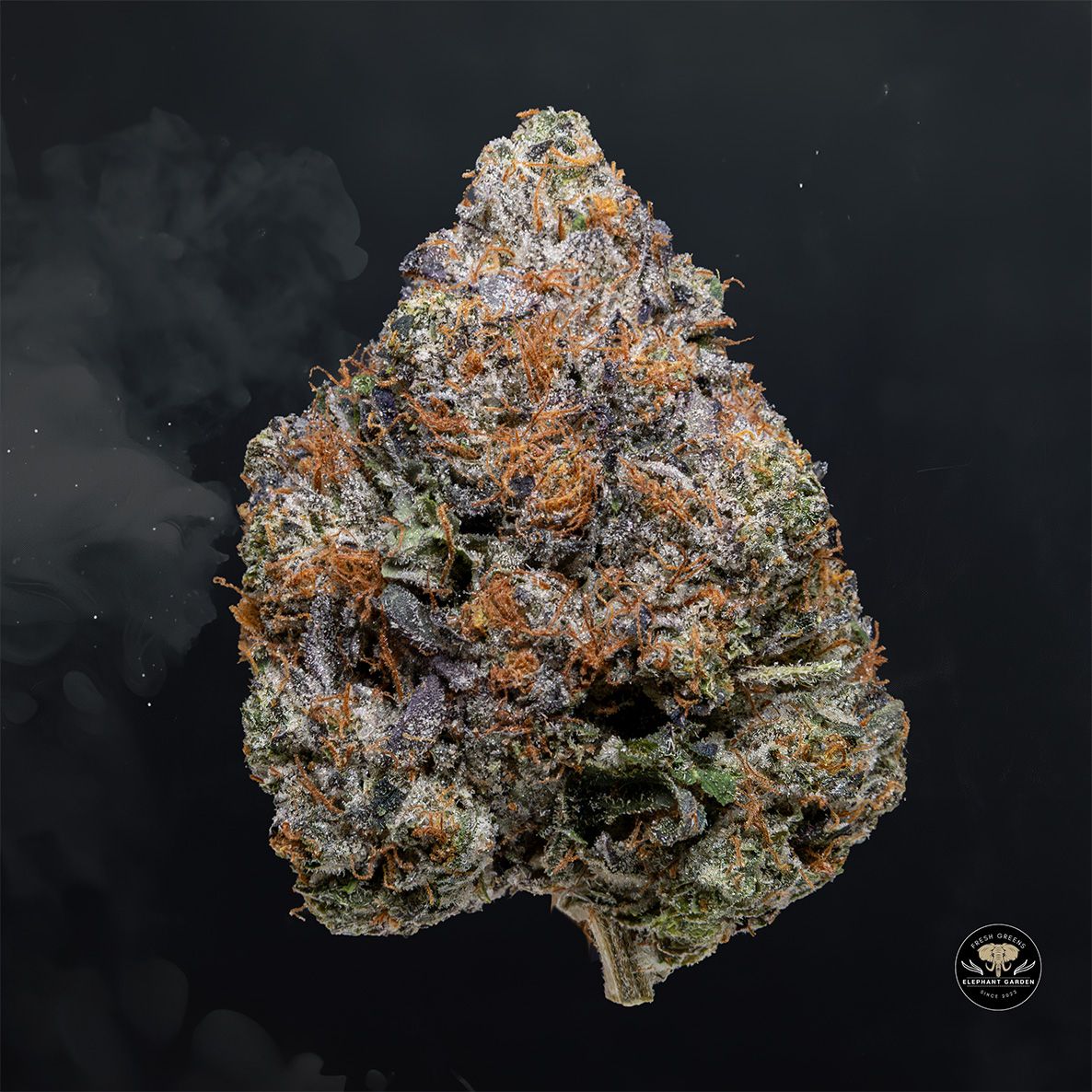 Buy Organic Pink at Elephant Garden Co Weed Dispensary Float 5 15 25 2