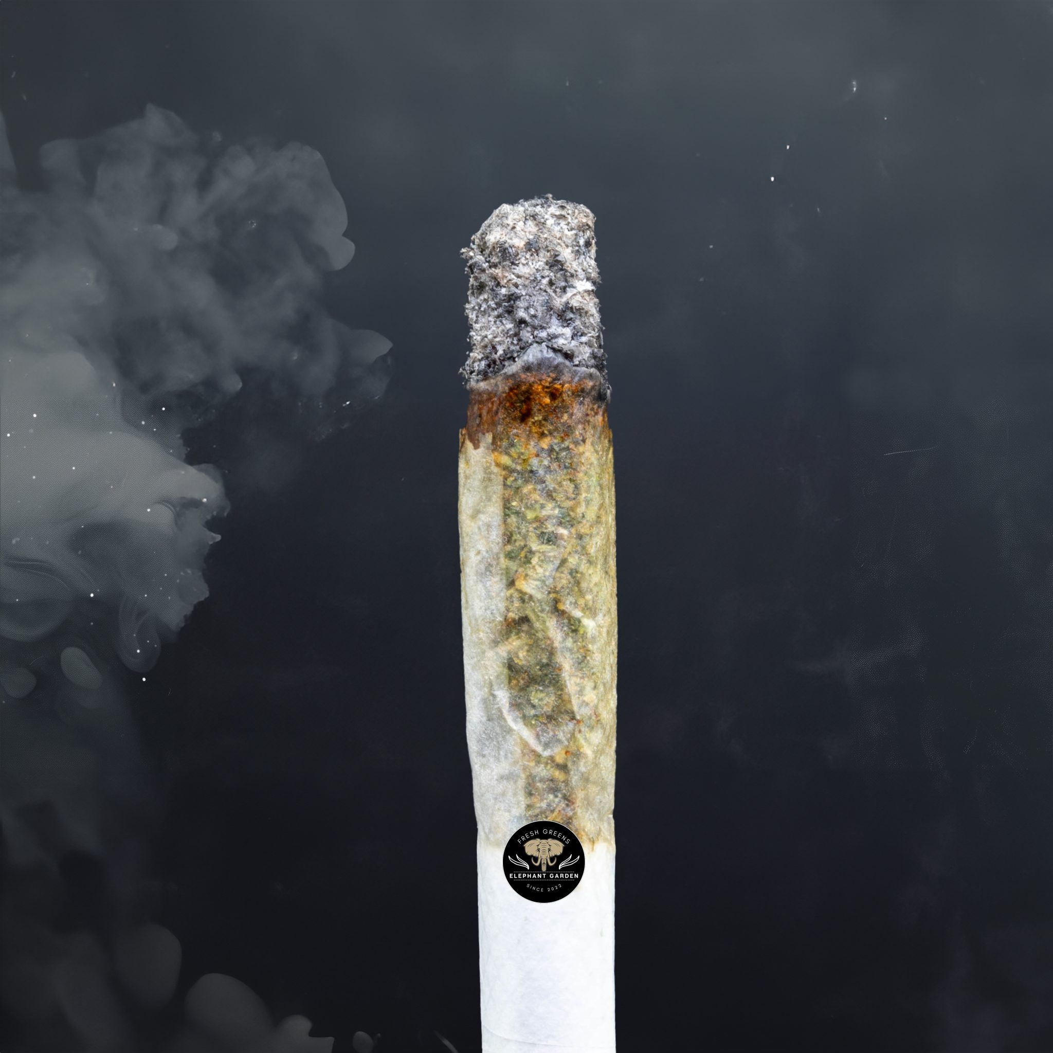 Buy Pink Muerte at Elephant Garden Co Weed Dispensary Burn Test 8 7 2024 2