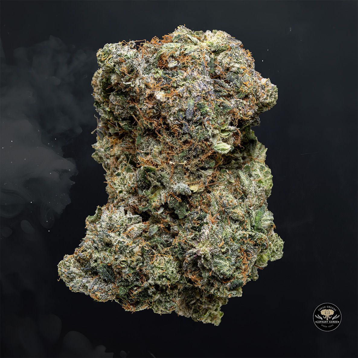 Buy Pink Rozay at Elephant Garden Co Weed Dispensary Float 5 15 25 2