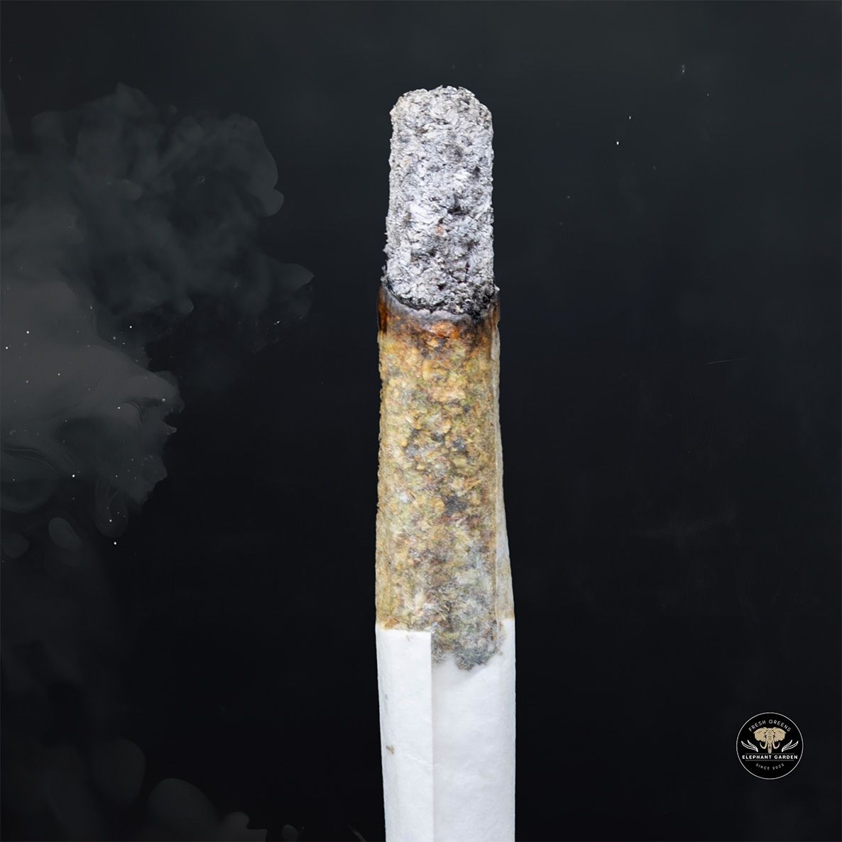 Buy Pink Tuna at Elephant Garden Co Weed Dispensary Burn 1 23 25