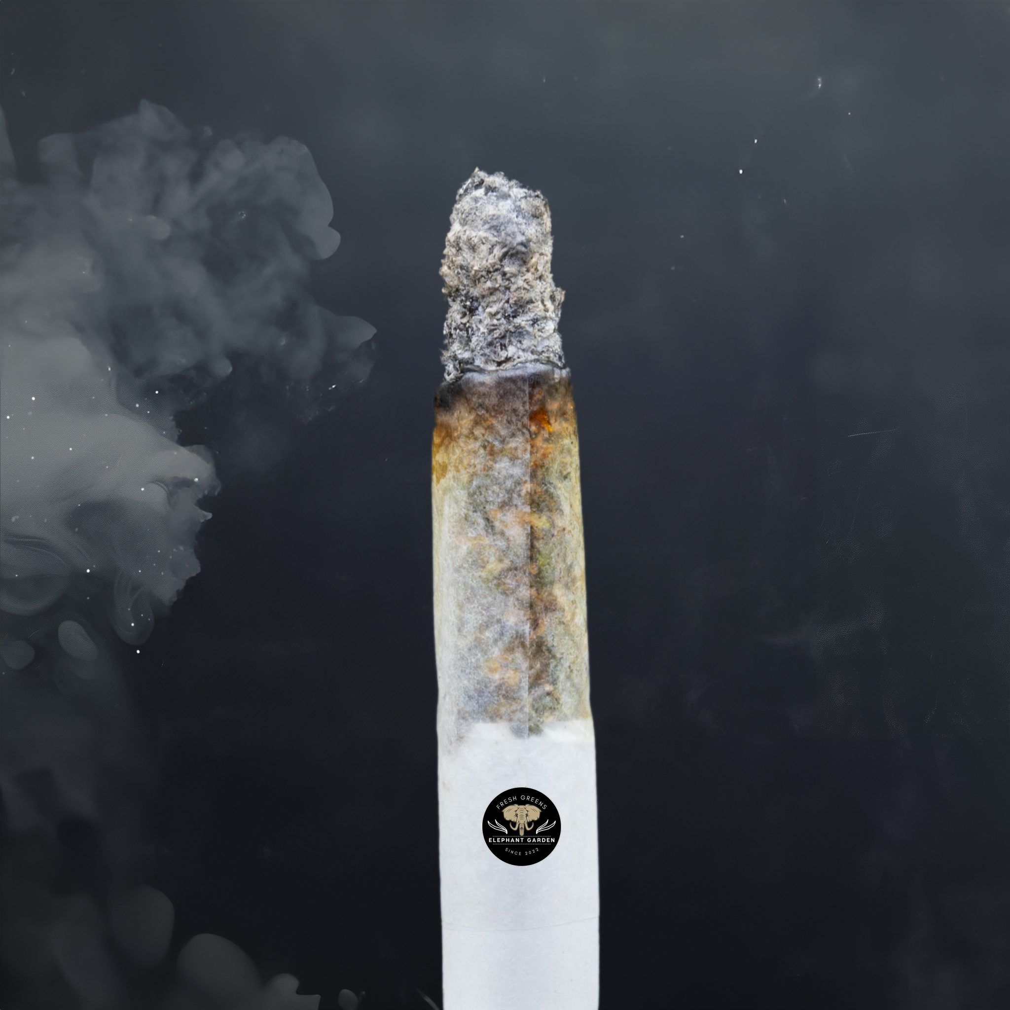 Buy Runtz at Elephant Garden Co Weed Dispensary Burn Test 8 7 2024 3