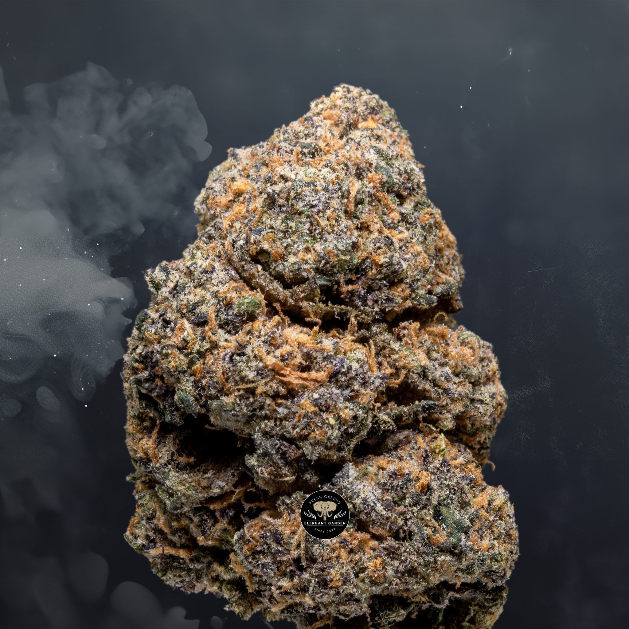 Buy Runtz at Elephant Garden Co Weed Dispensary Close 8 7 24 2