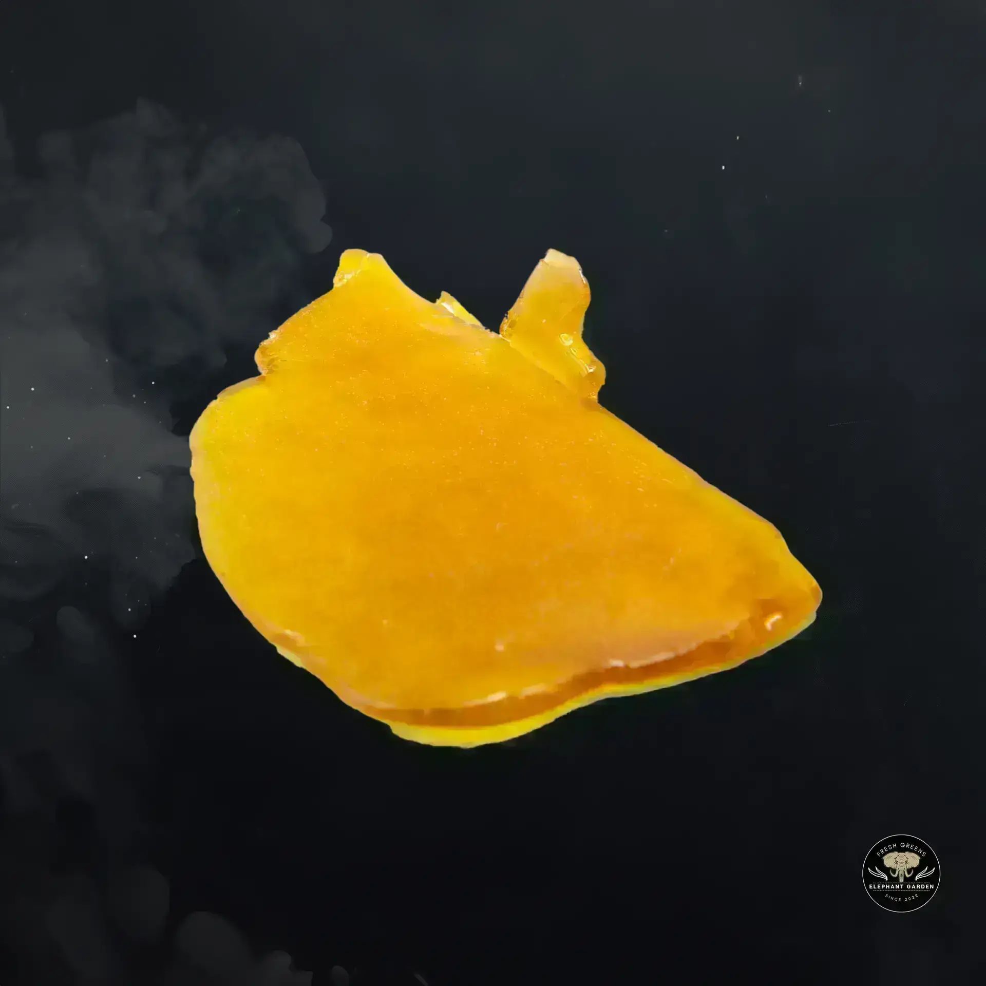 Buy Triceratops Shatter at Elephant Garden Co Weed Dispensary Float 11 13 24 4